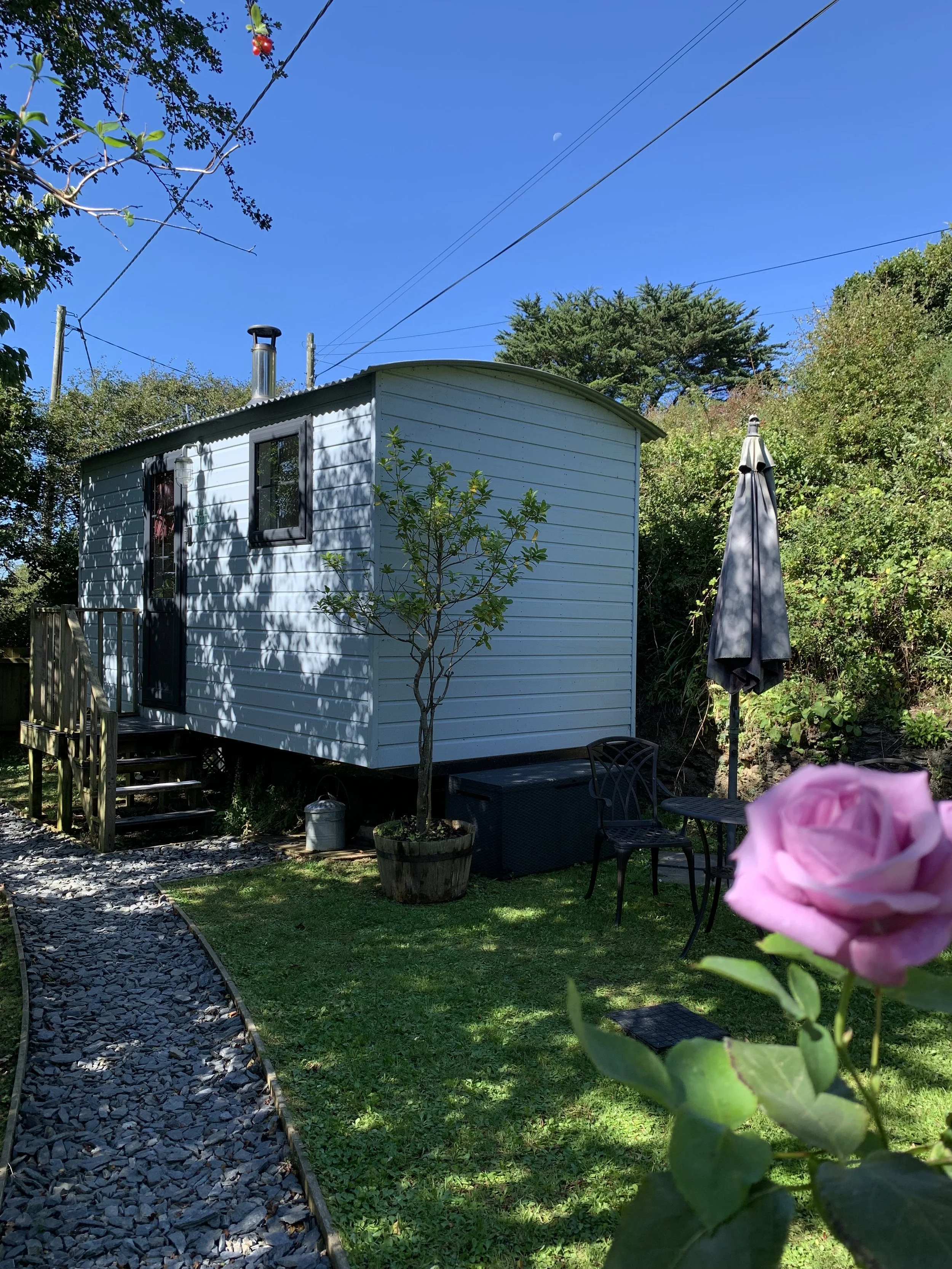 A small white house with a black door and window frames in a backyard, surrounded by green trees and bushes, with a pink rose in the foreground, outdoor furniture, a closed patio umbrella, and a gravel pathway.