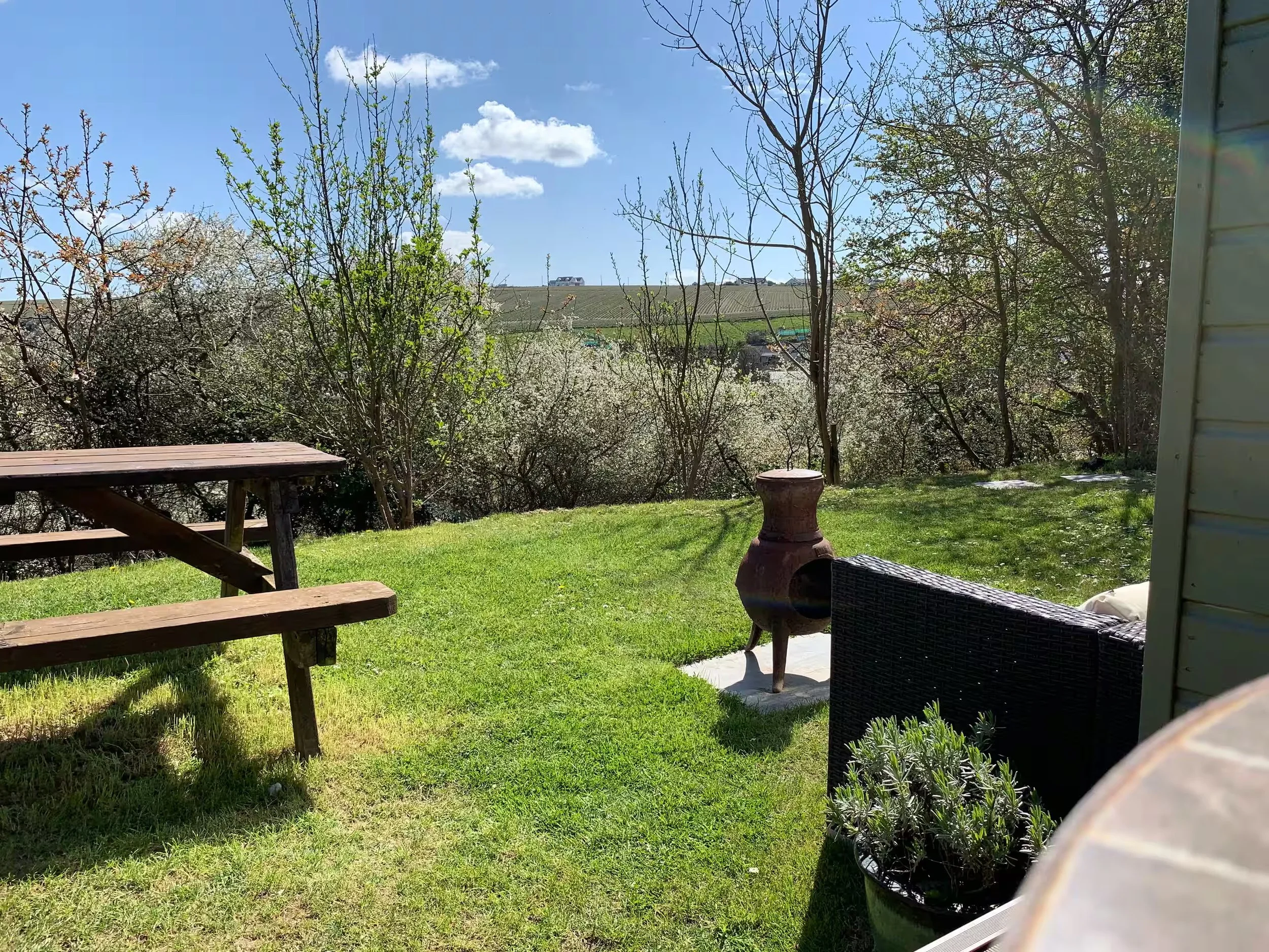 Foxes Cove sitting on the deck, looking at a wooden picnic table, a patio chair,  potted plants, and trees with budding leaves. In the distance, hills with vineyards and a few houses are visible under a partly cloudy blue sky.