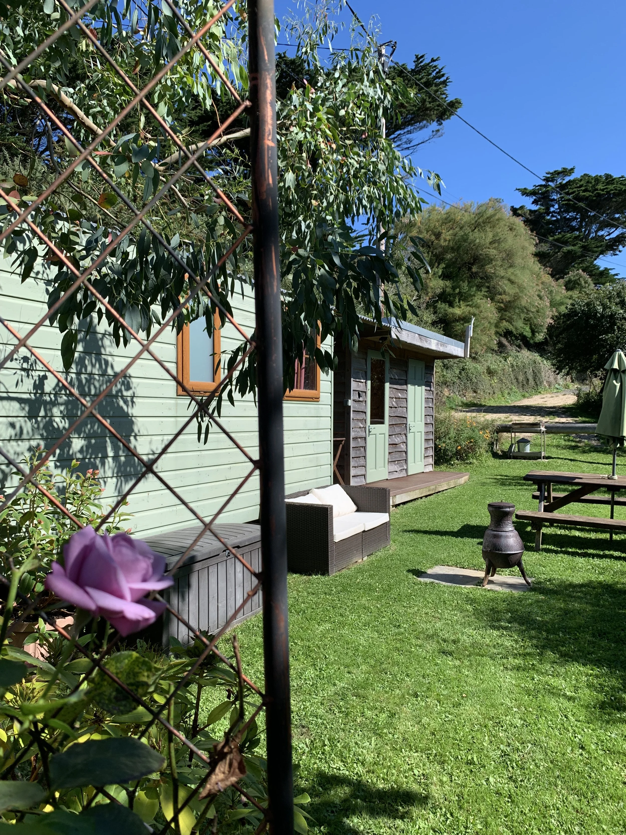 Foxes Cove garden scene with a green house, outdoor furniture, a fire pit, and lush greenery under a clear blue sky, viewed through a chain-link fence with pink flowers in the foreground.