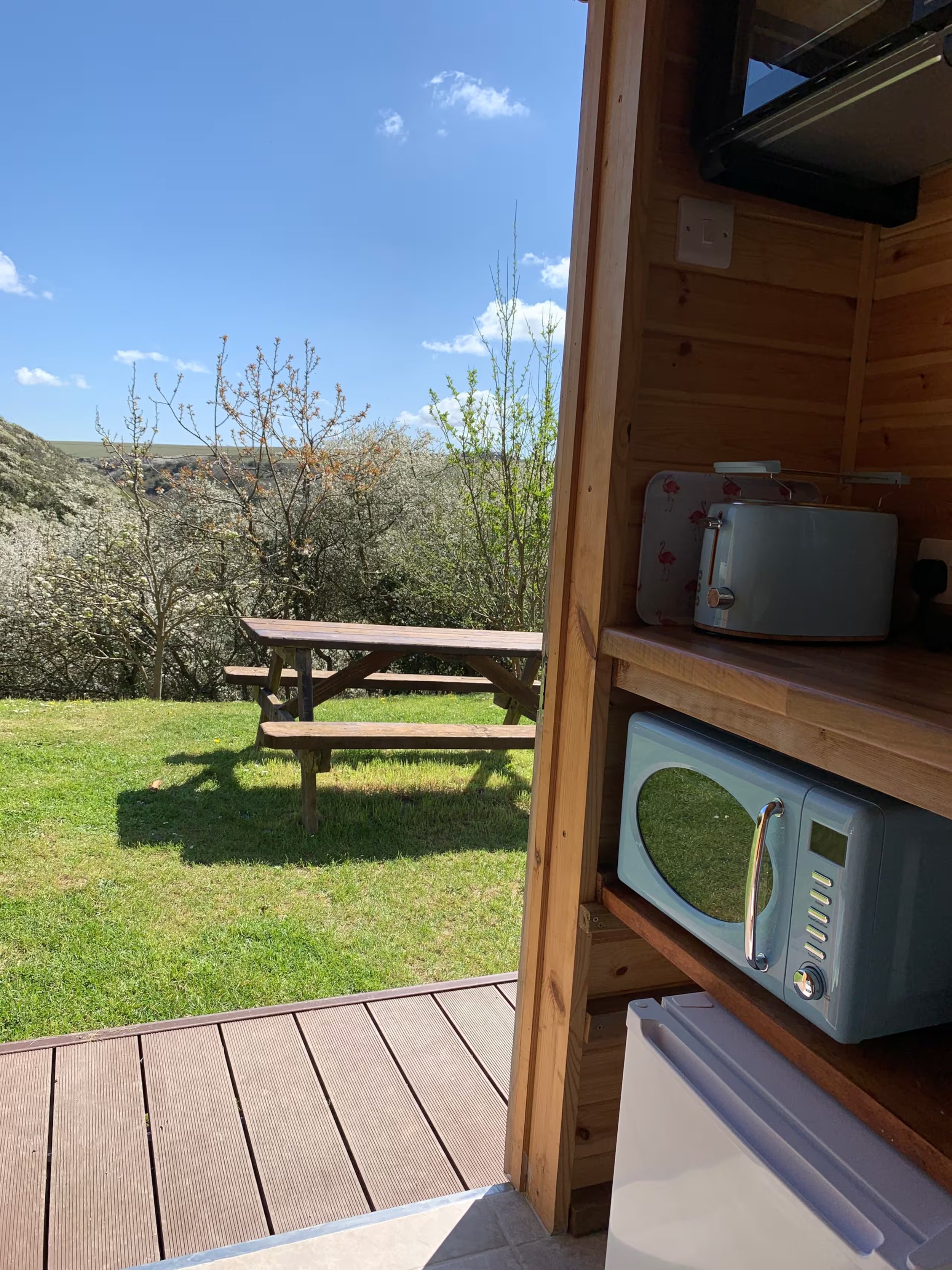 View from the kitchen opf Foxes Cove a wooden outdoor kitchen shelf with a microwave and small refrigerator, overlooking a grassy area with a picnic table and blooming trees under a blue sky with some clouds.