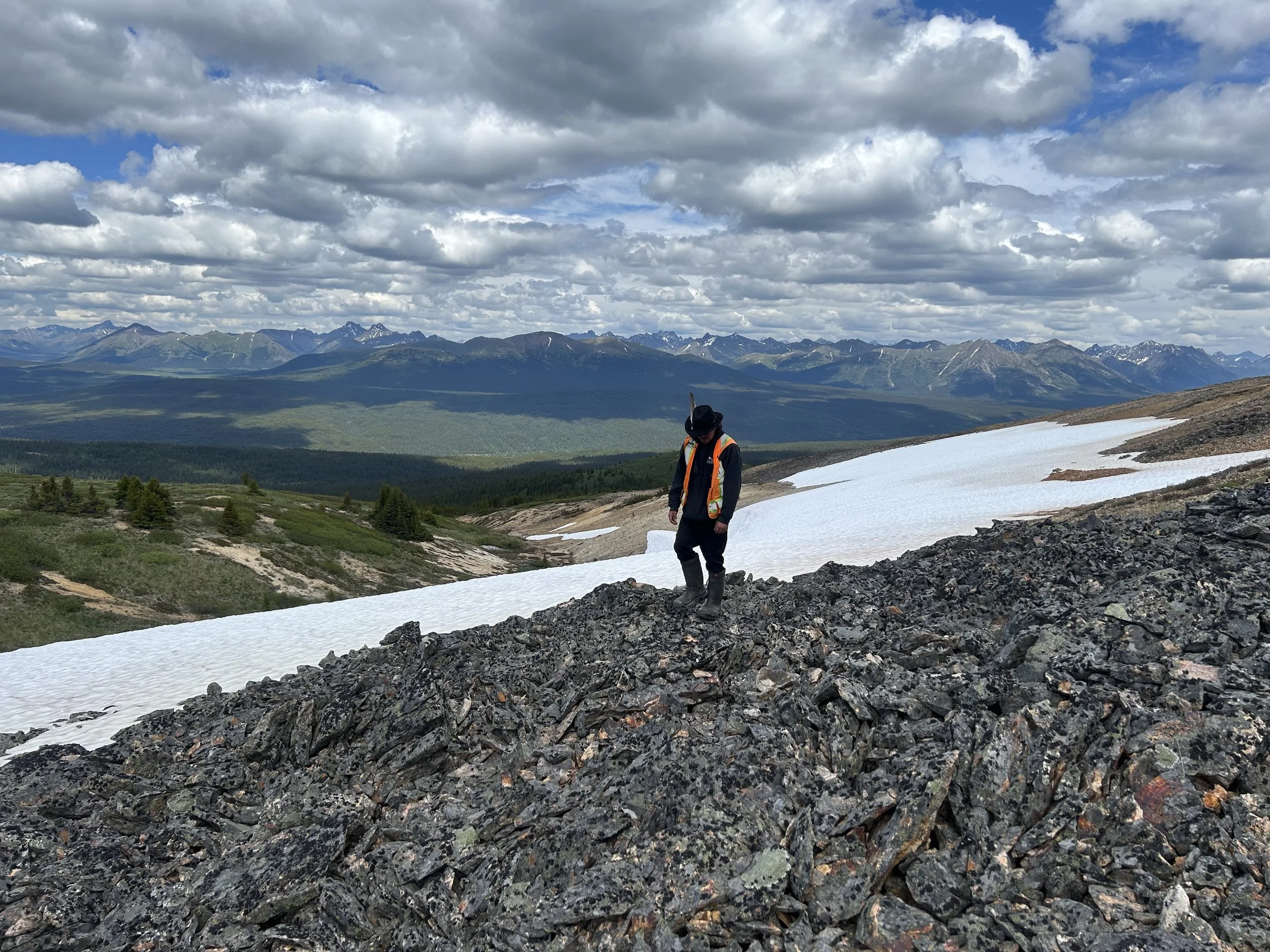 A local First Nation field technician completing rare plant surveys in central British Columbia, to satisfy permitting requirements for exploration gold mining.