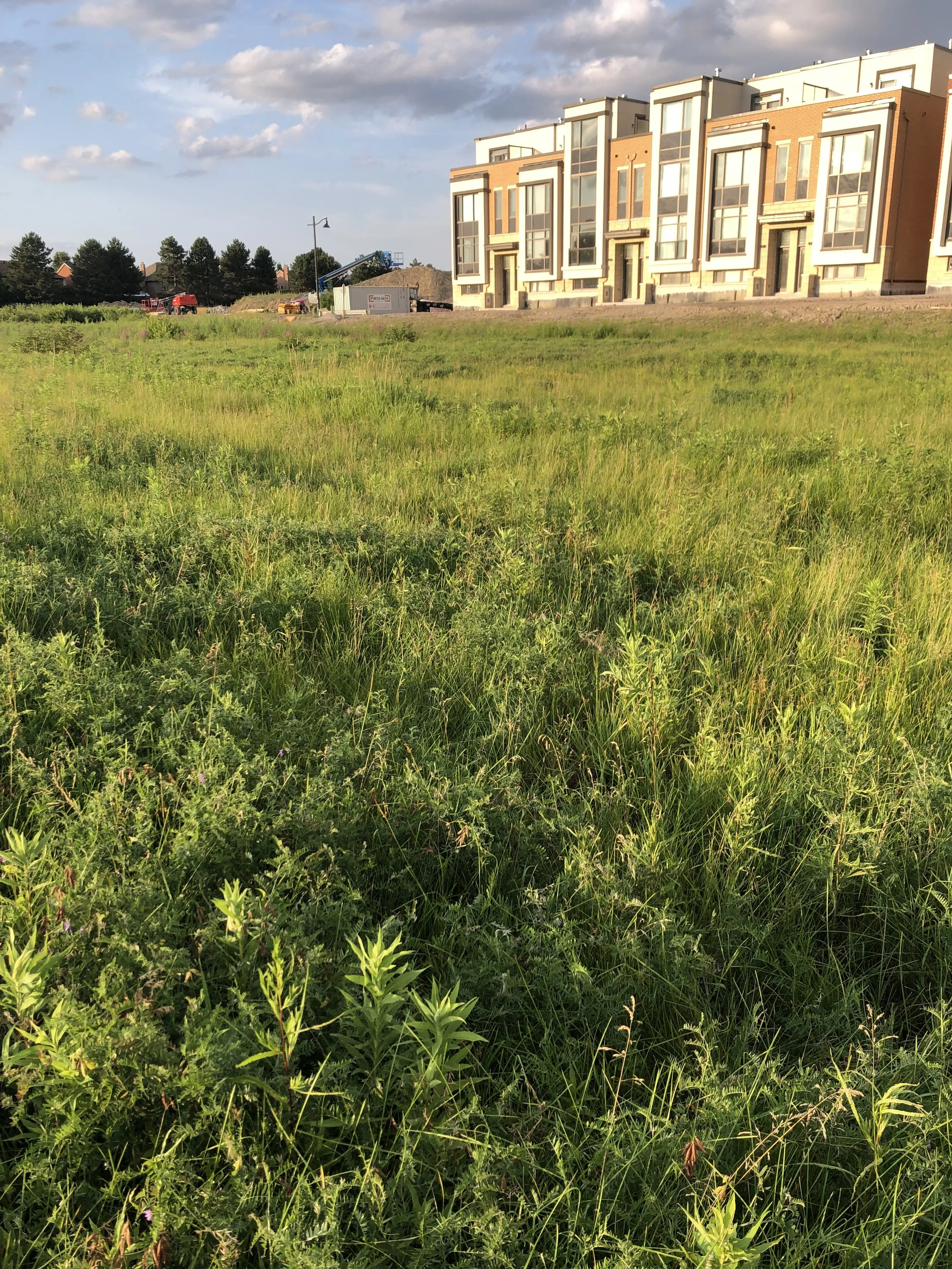 Environmental Assessments