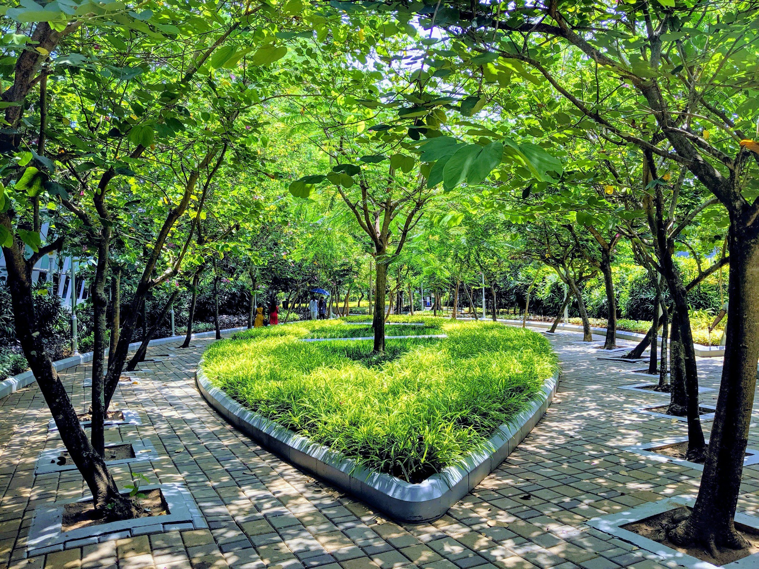 By deploying place-based strategies, urban areas and cities can use nature-based solutions to enhance biodiversity, reduce heat islanding, improve energy efficiency, improve human mental and physical health, enhance education, and planetary healing.
