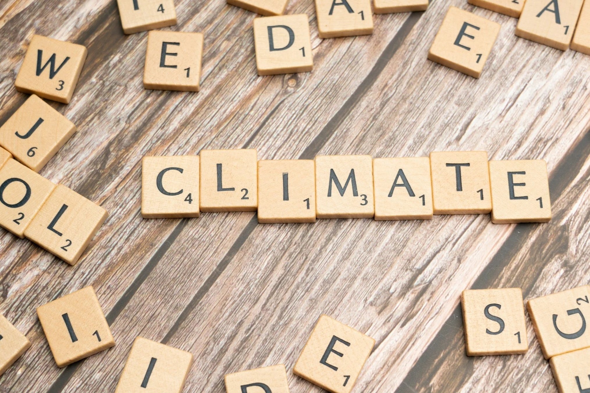 Climate change affects everybody. As we move ever closer to tipping points and exceed planetary boundaries, renewable energy and locally produced goods and services will reduce harmful emissions. Education, both K-12 and higher education have roles.