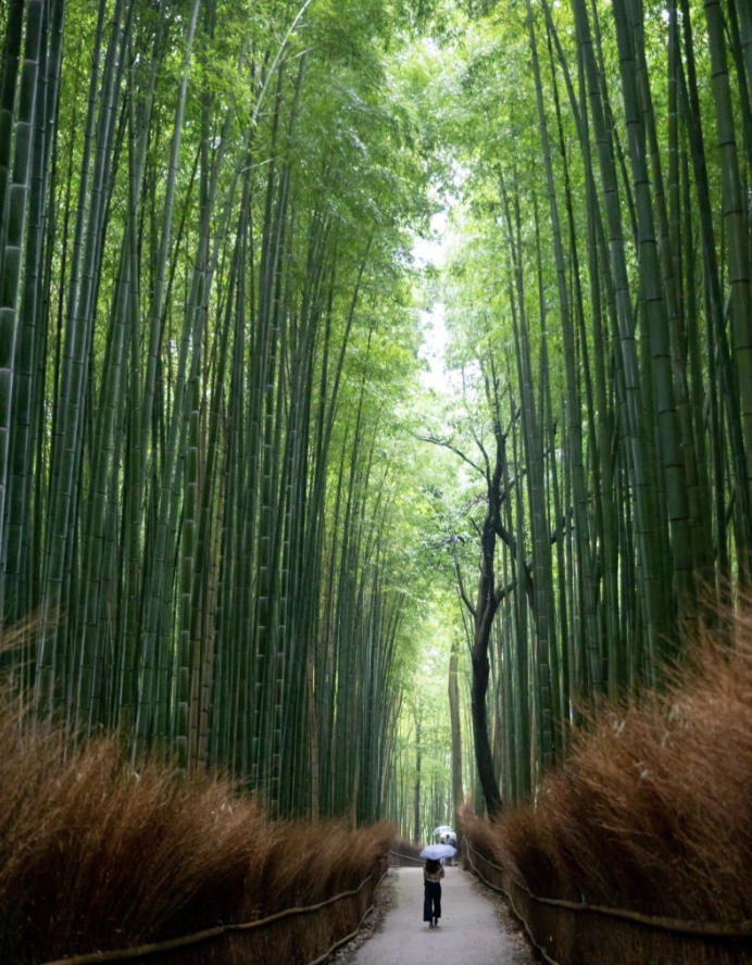 KYOTO