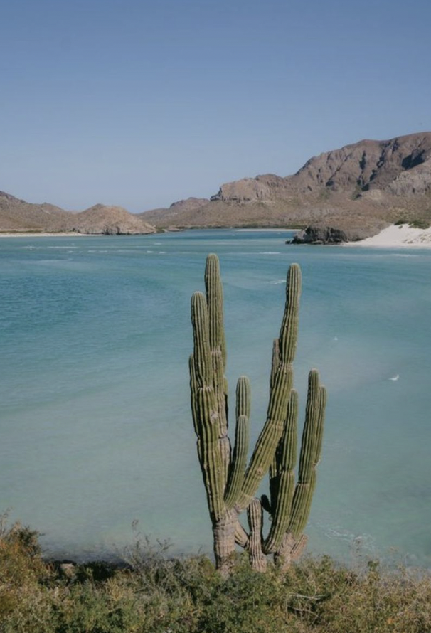 BAJA CALIFORNIA