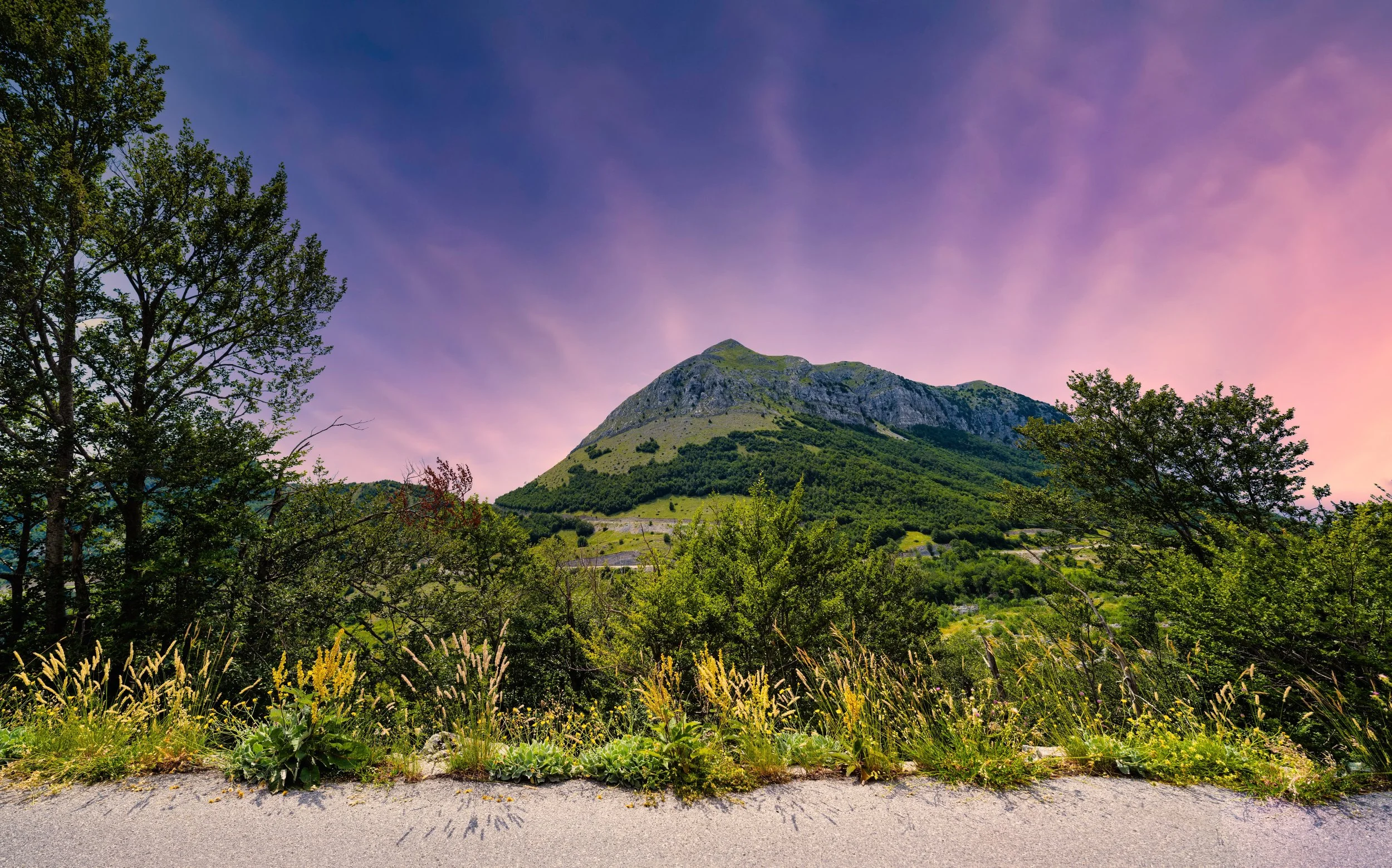 Scenic view of a mountain with green vegetation and a rocky peak under a purple and blue sky, framed by trees and wildflowers in the foreground.