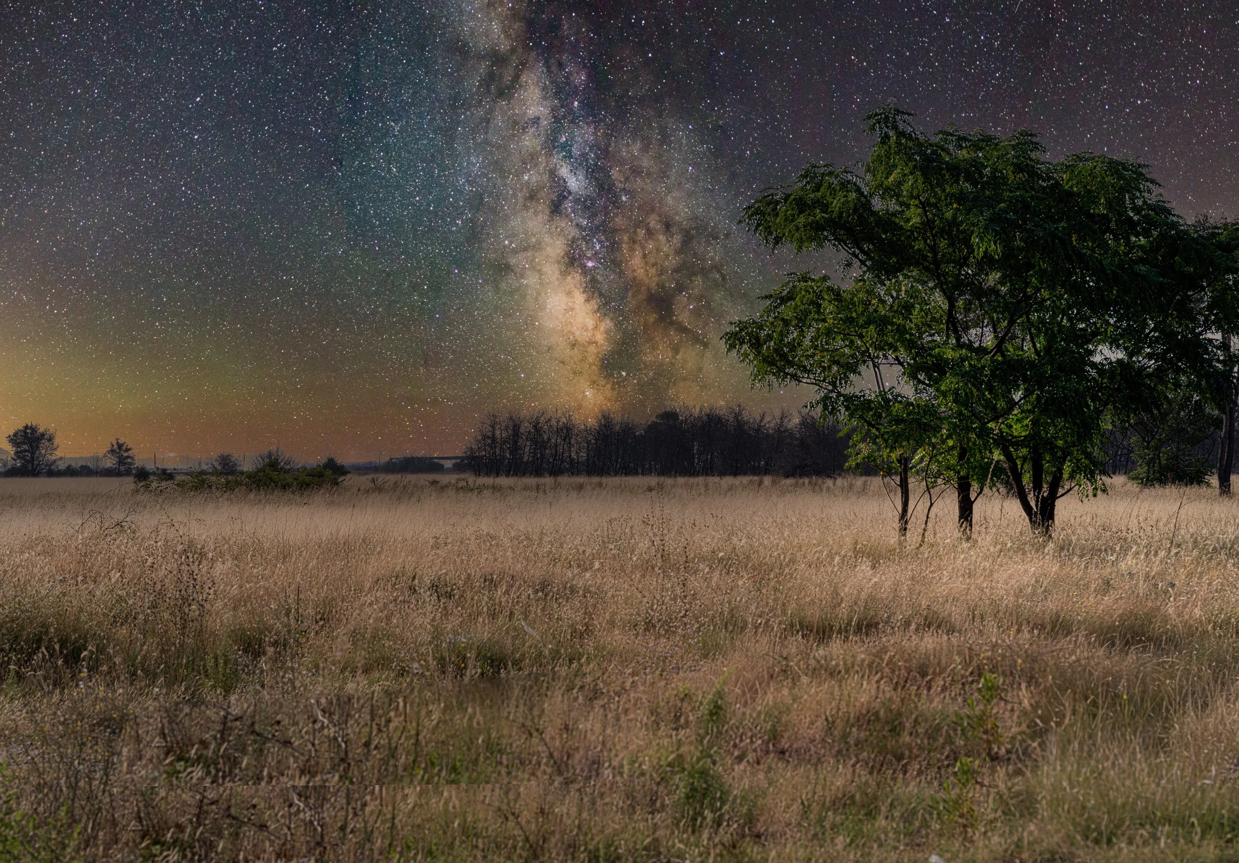 Night sky filled with countless stars and the bright band of the Milky Way galaxy above an open field with trees.