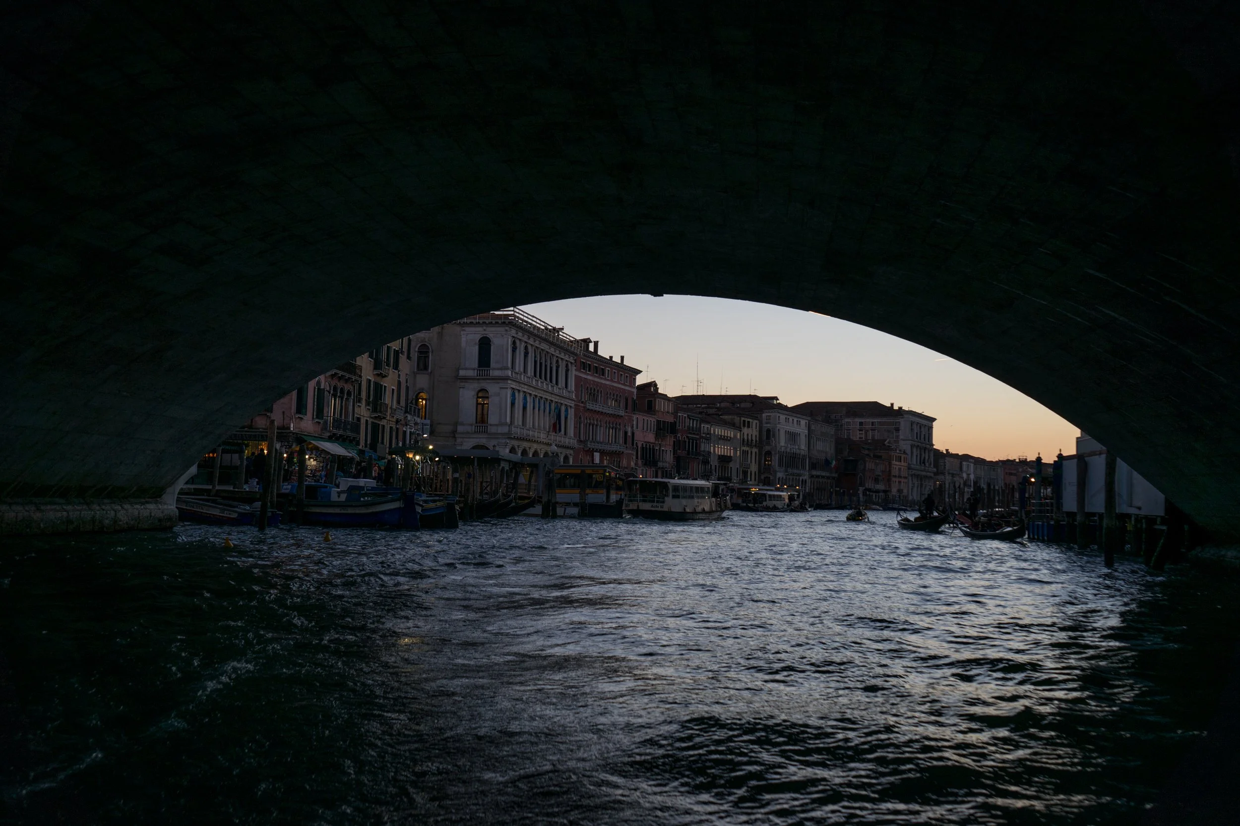 Landau_VeniceEngland2016_213.JPG