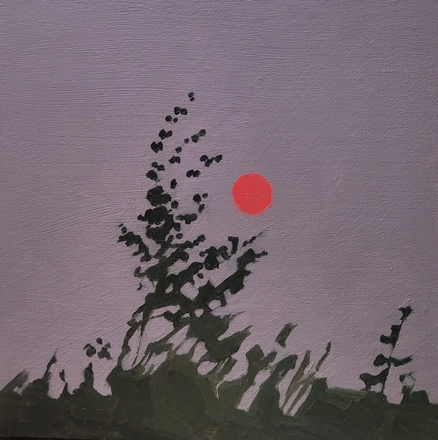 #80 (08-08-25)