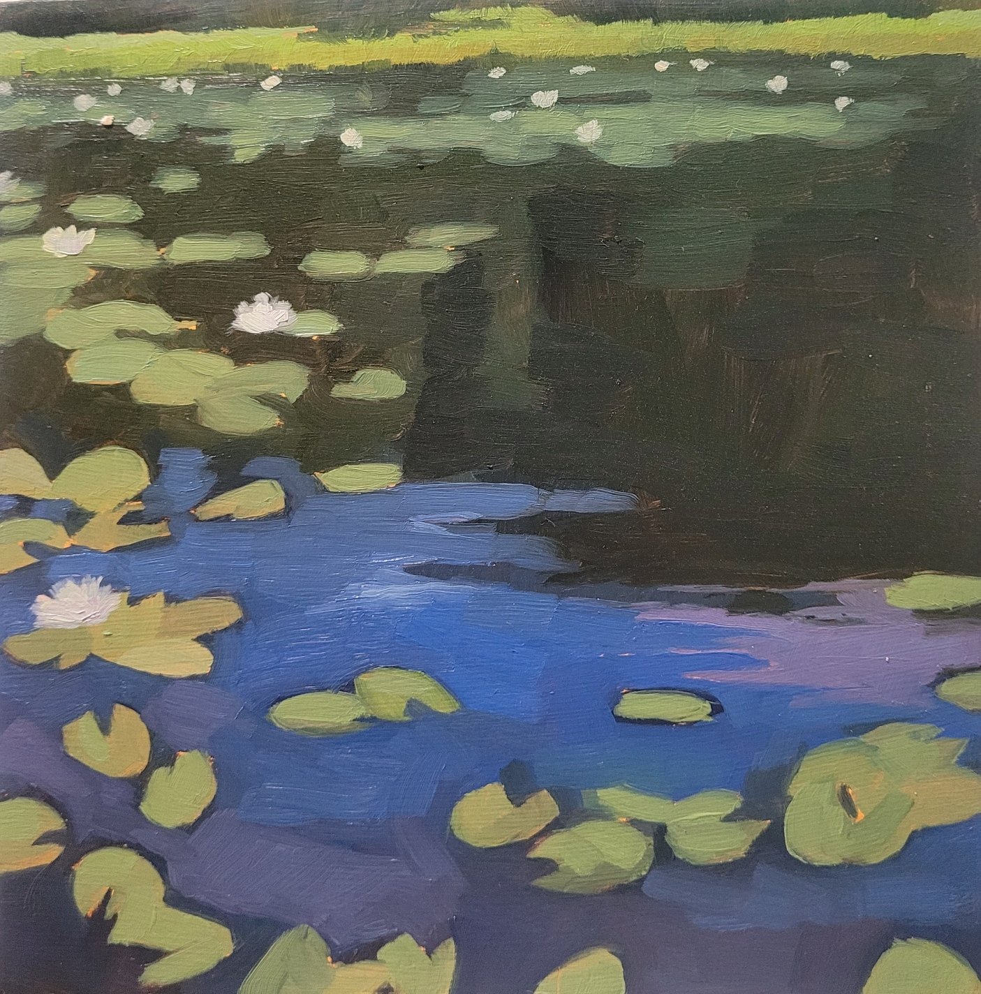 Frog Pond. #78 (07-08-25). Sold.