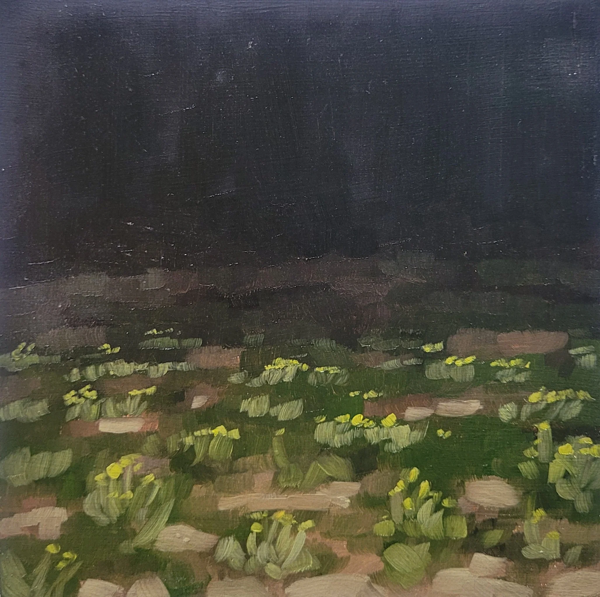 #50 (24-06-25)