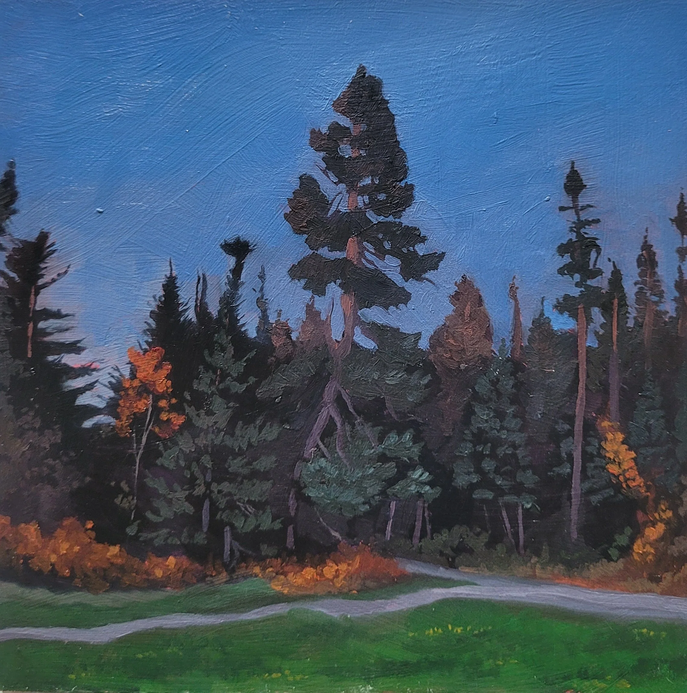 Cobb's Pond in the evening. #97 (11-12-24).

On display and for sale at The Wilds.