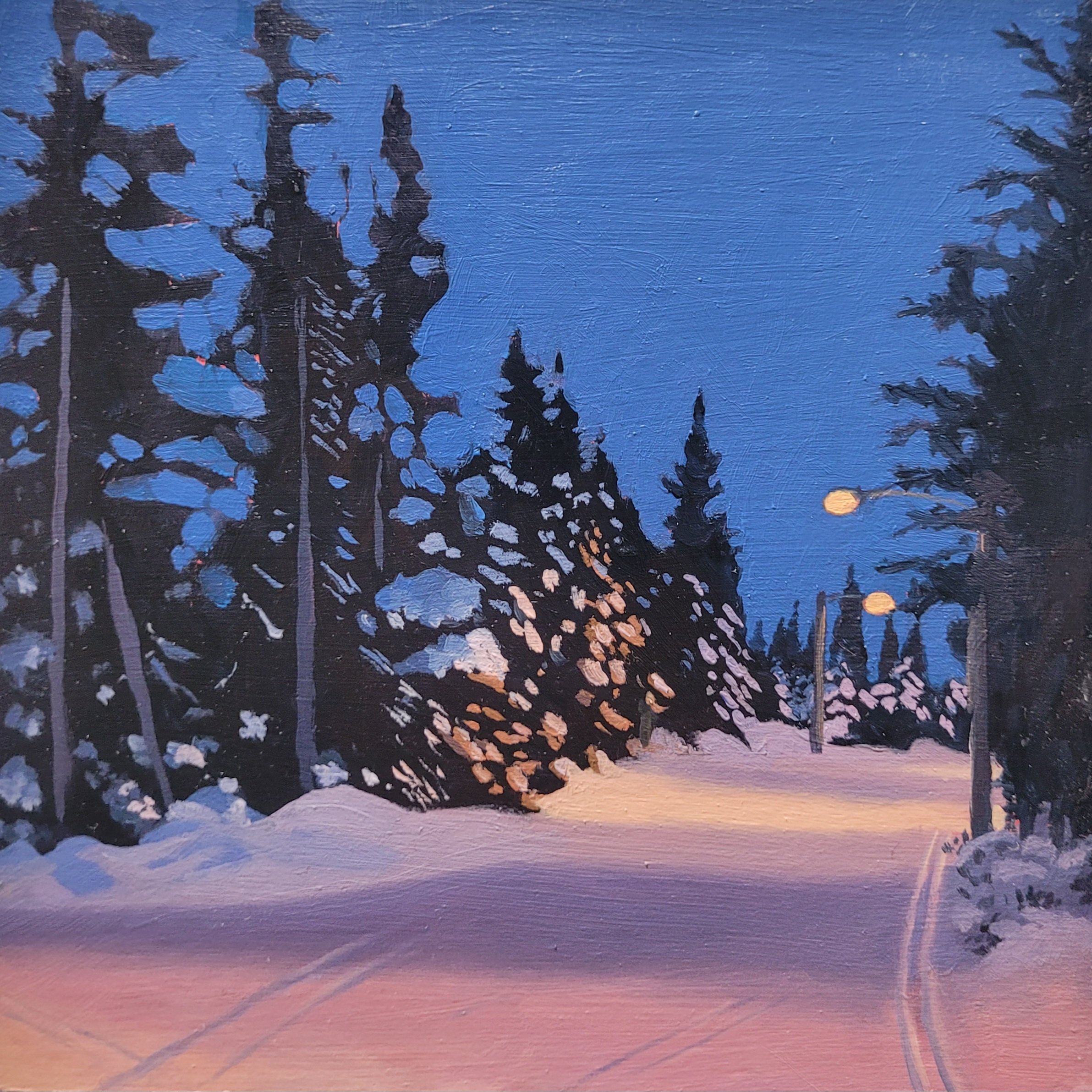 Skiing is best at night. #98 (15-12-24).

On display and for sale at The Wilds.