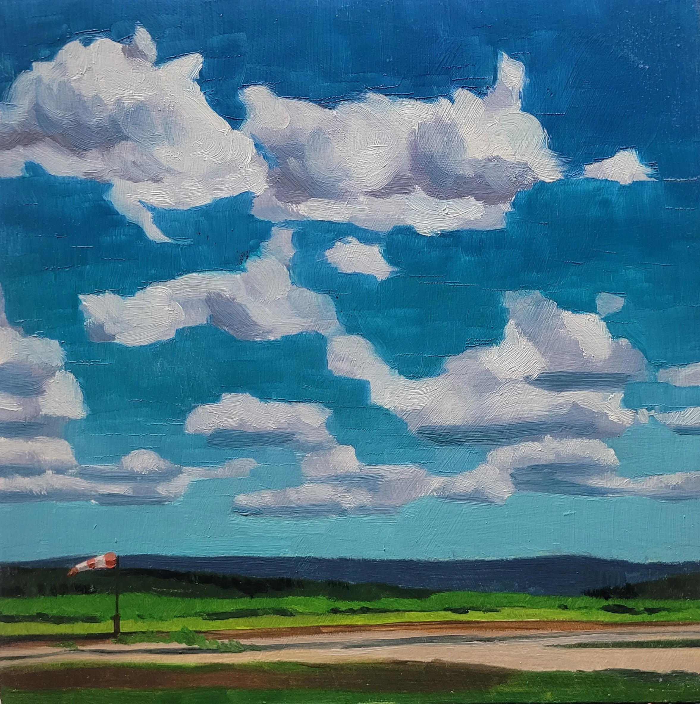 Socks at the Gander airport. #39 (16-06-24).

On display and for sale at The Wilds.