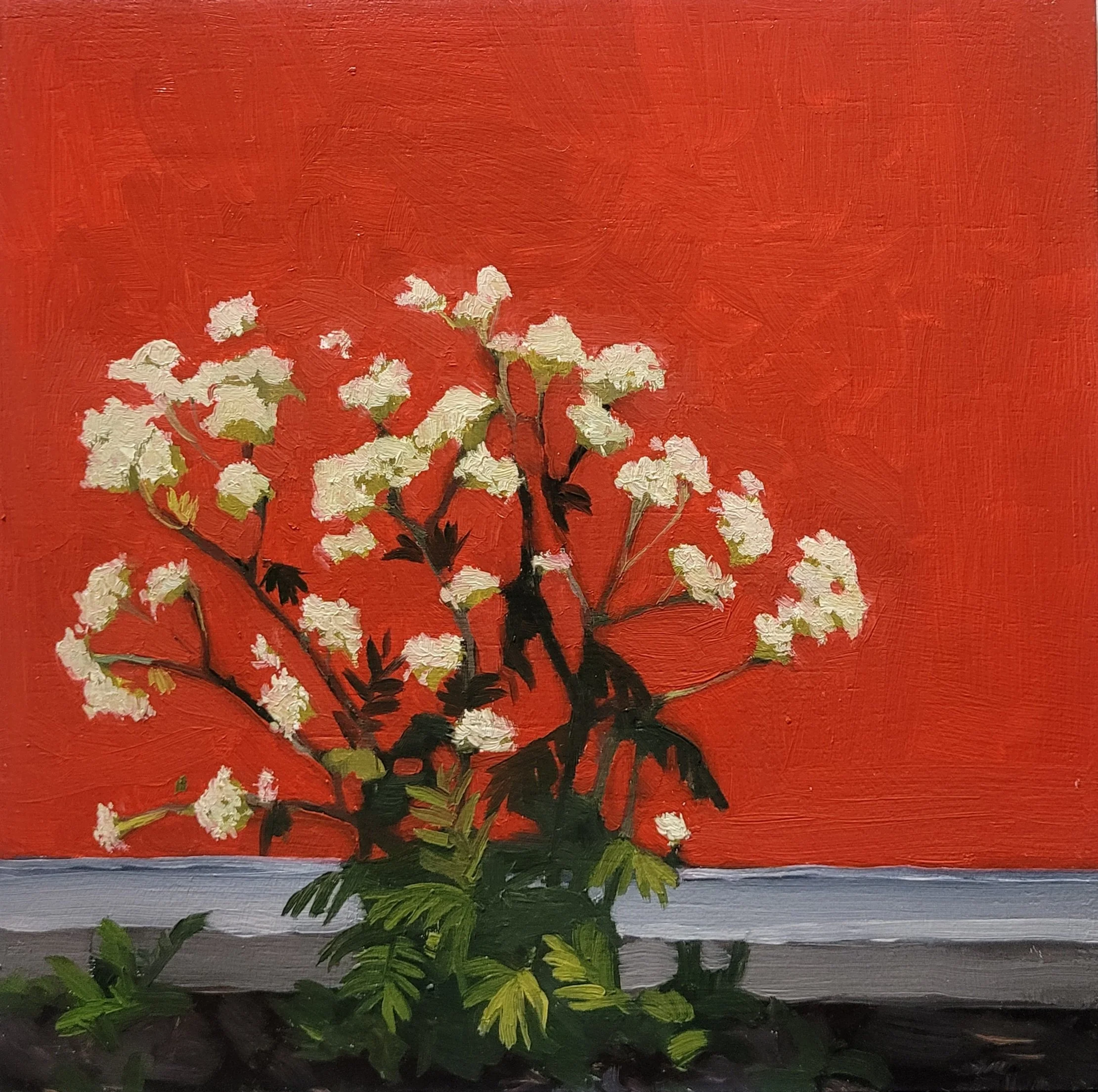 #52 (27-06-25)