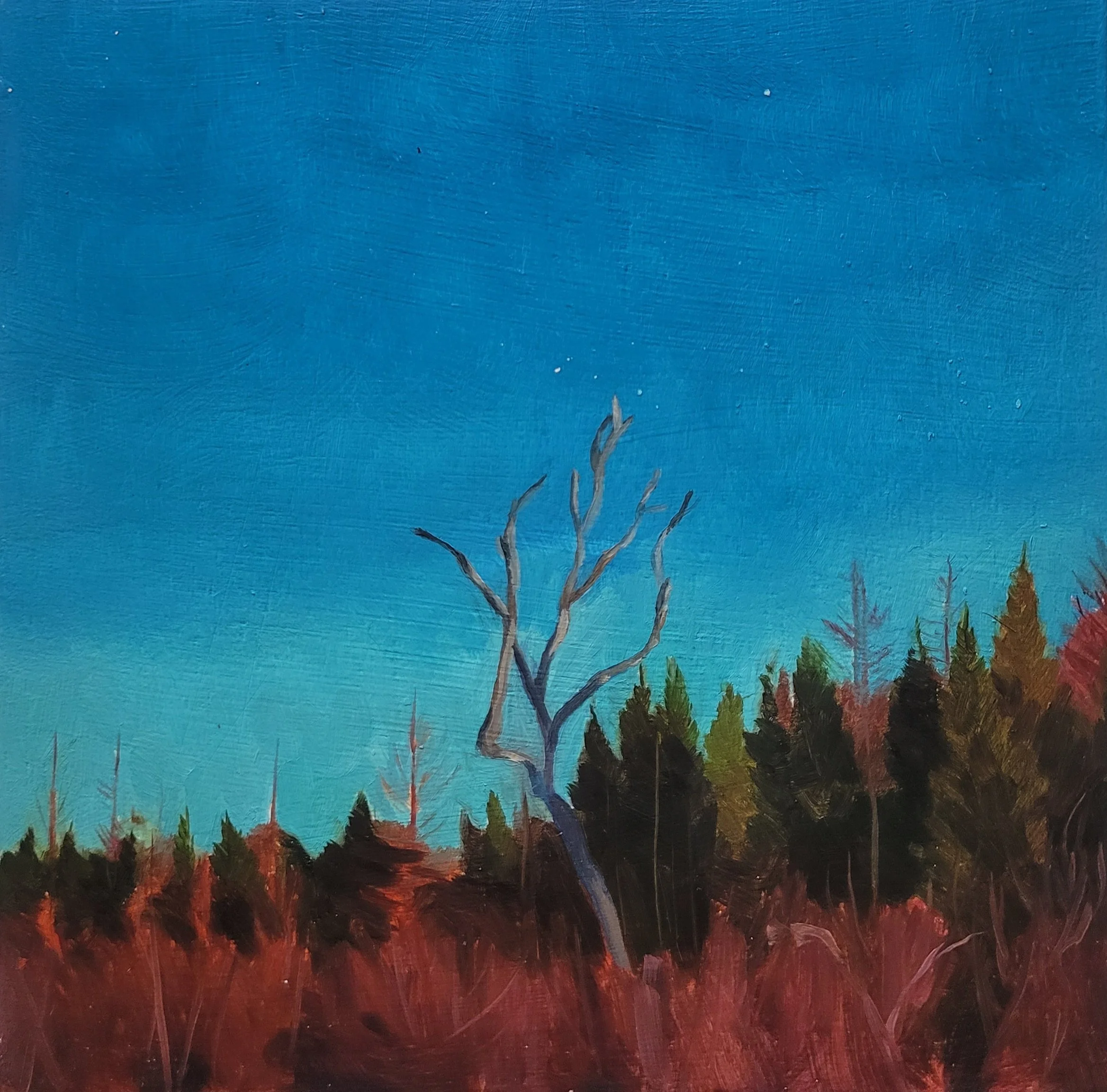 #25 (18-04-25)