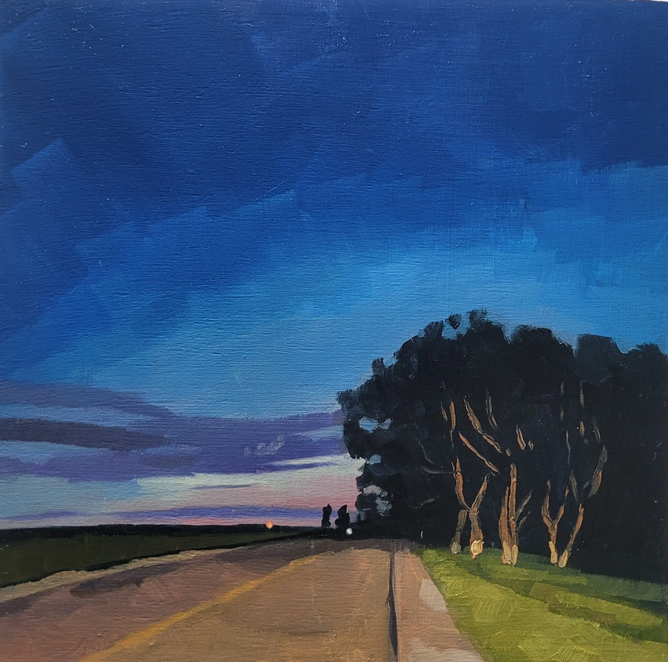 #81 (26-10-24)