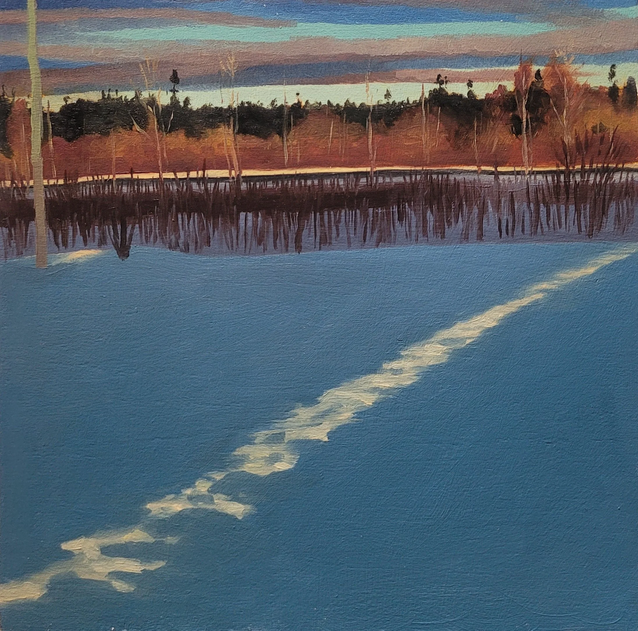 It's warm in the sun. #8 (25-02-25). 

On display and for sale at The Wilds.