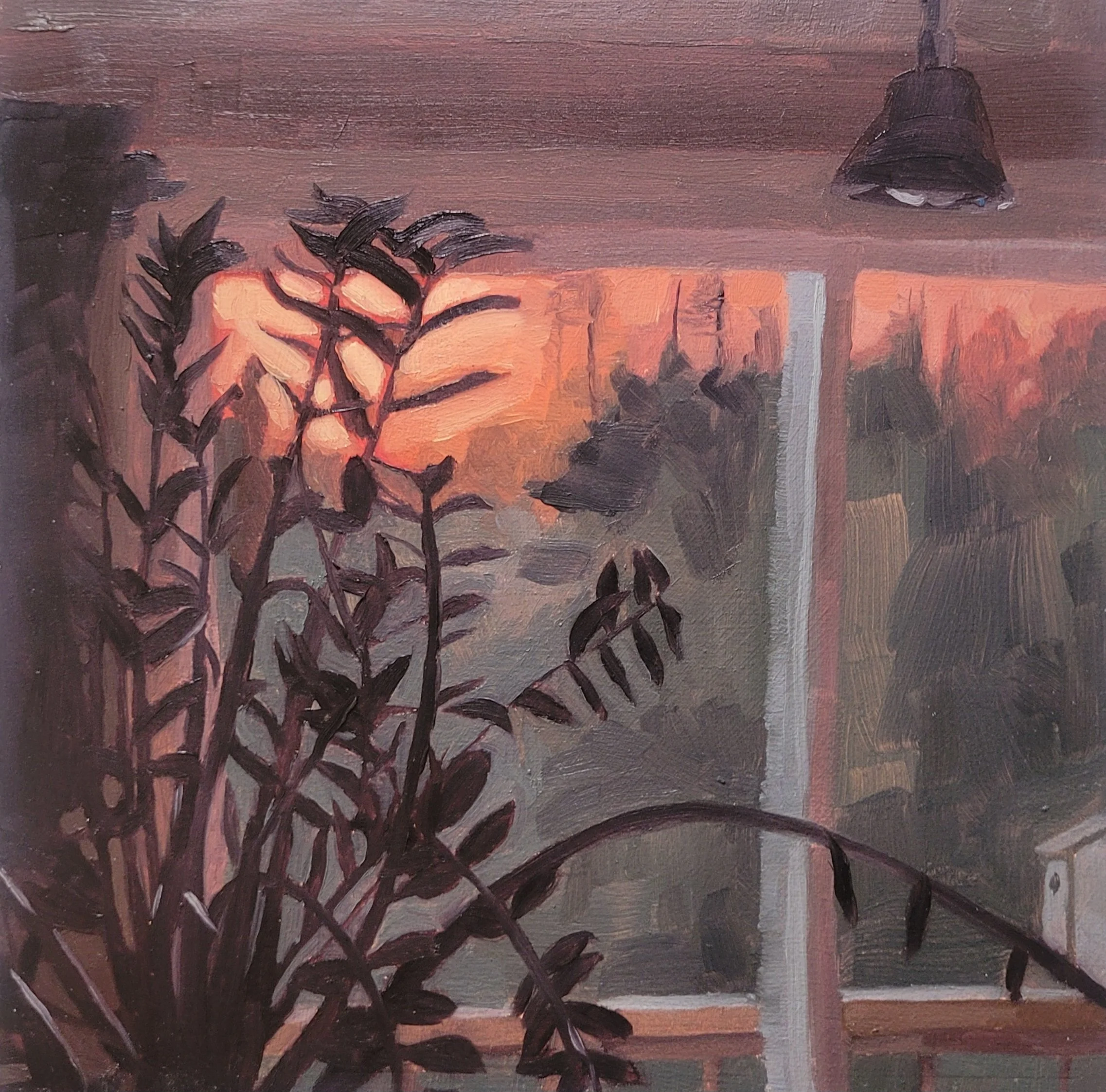 #29 (06-05-25)