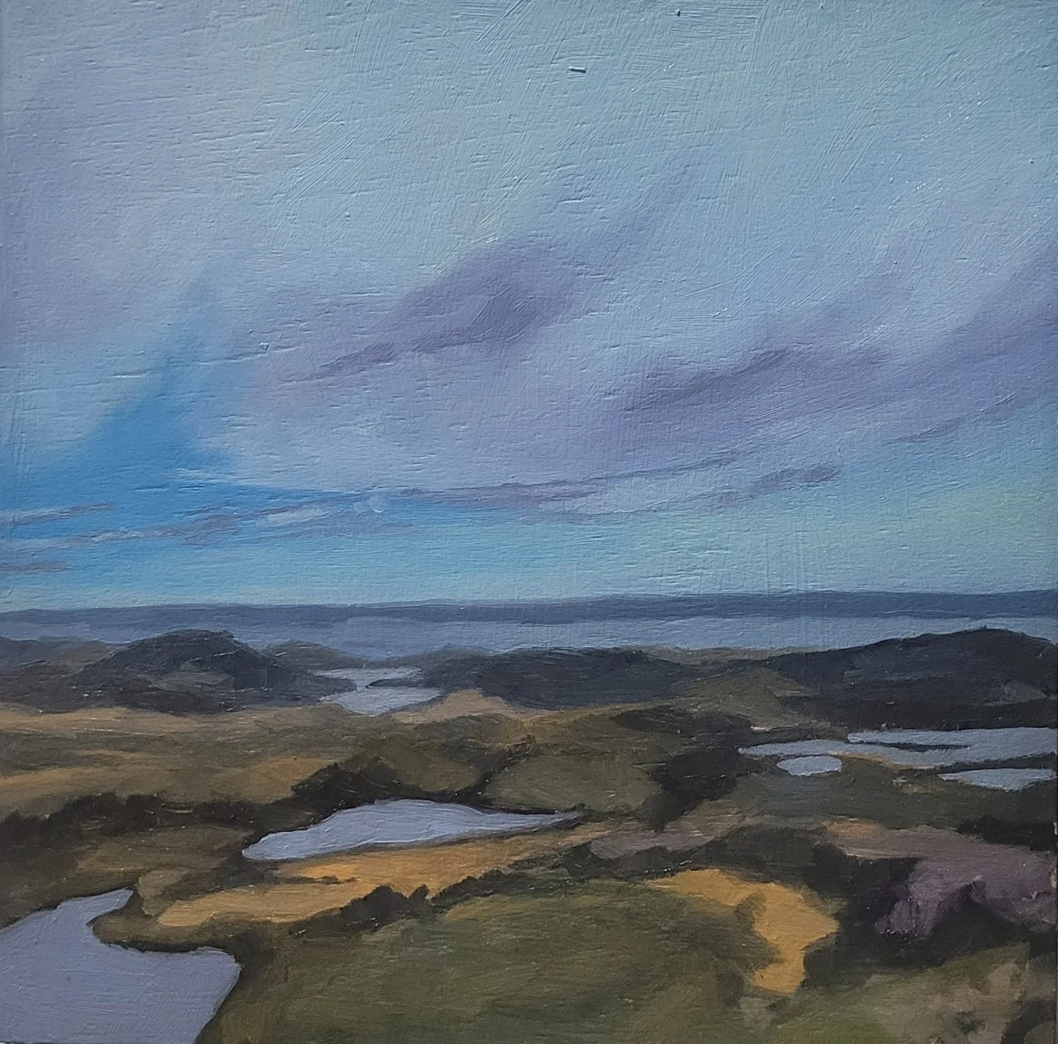 Many steps. #103 (29-09-25). On display and for sale at The Wilds.