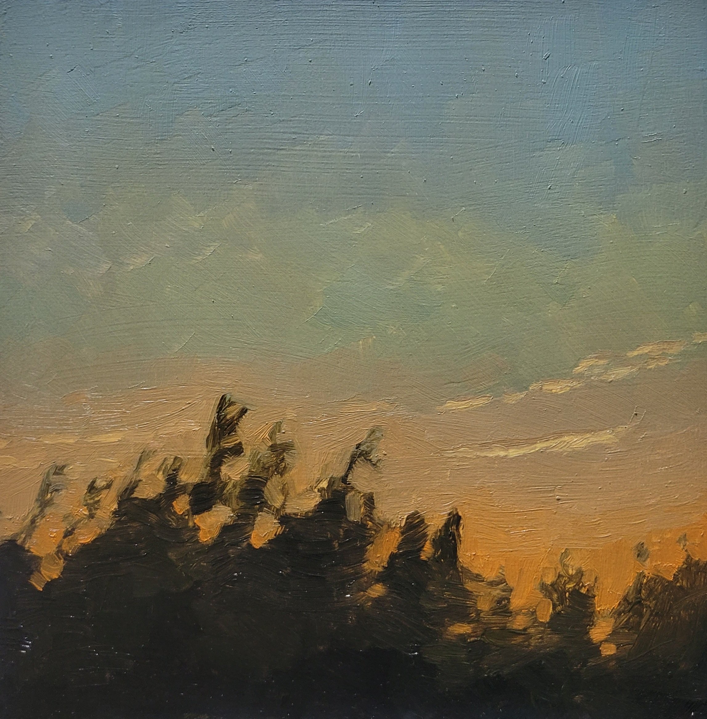 #56 (05-07-25)