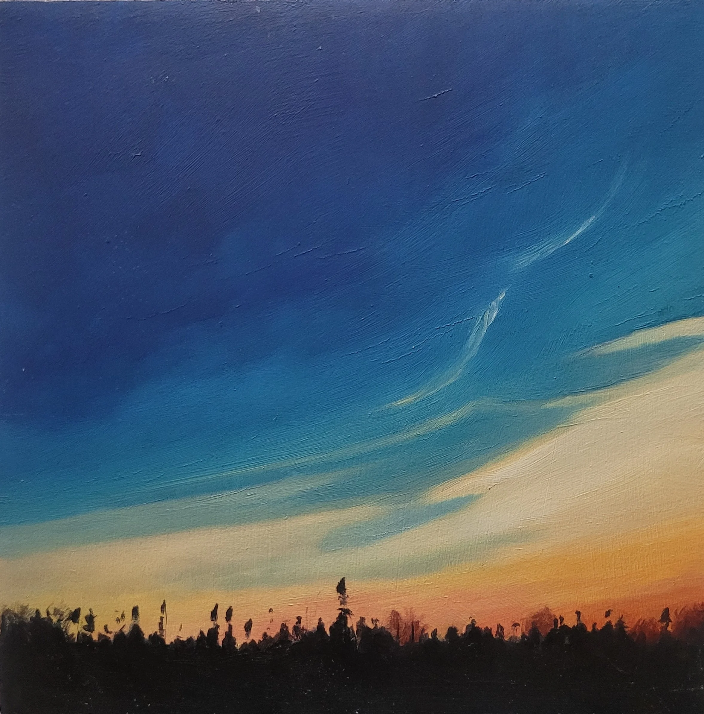 #33 (28-05-24)