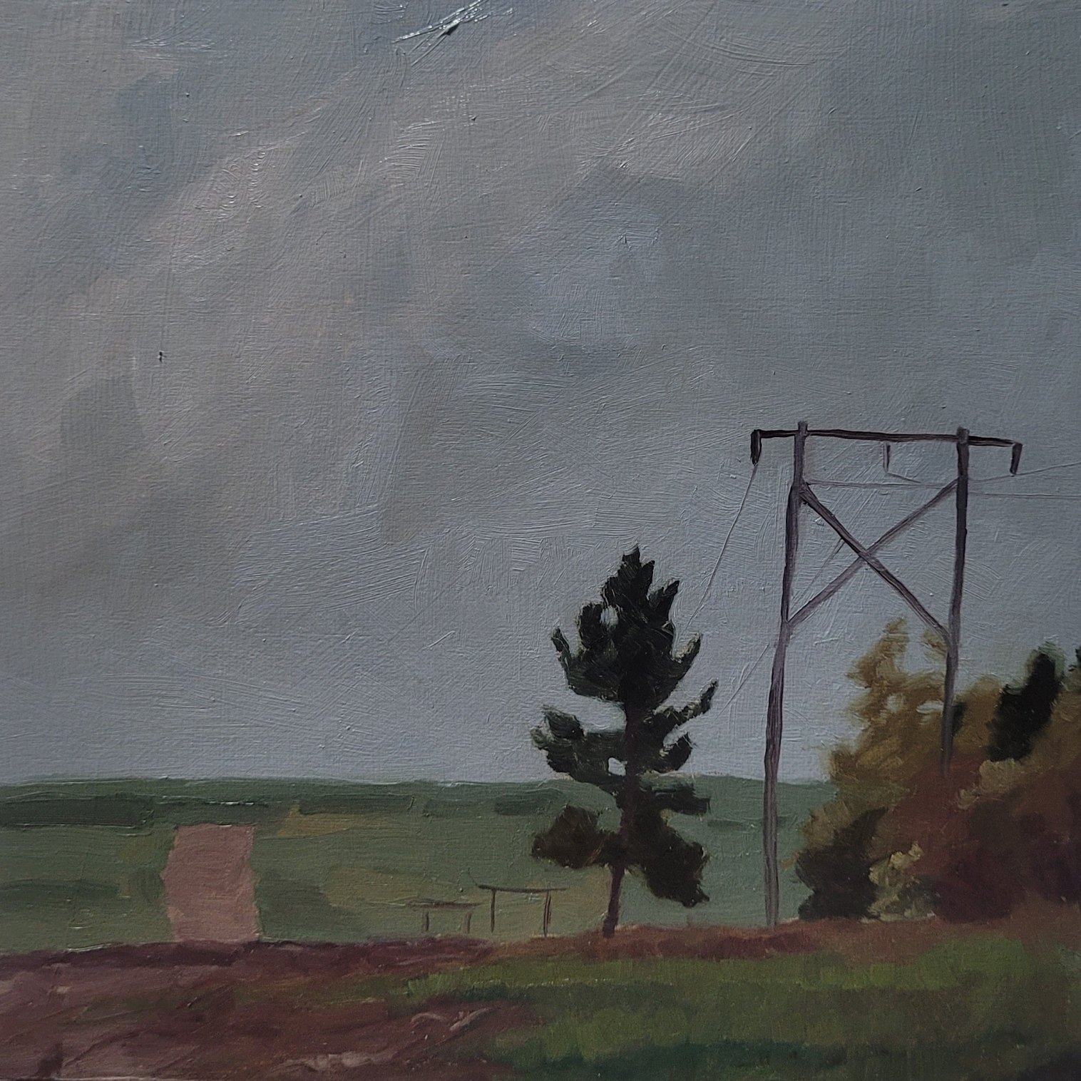 White Pine (Now Gone). #101 (26-09-25). On display and for sale at The Wilds.