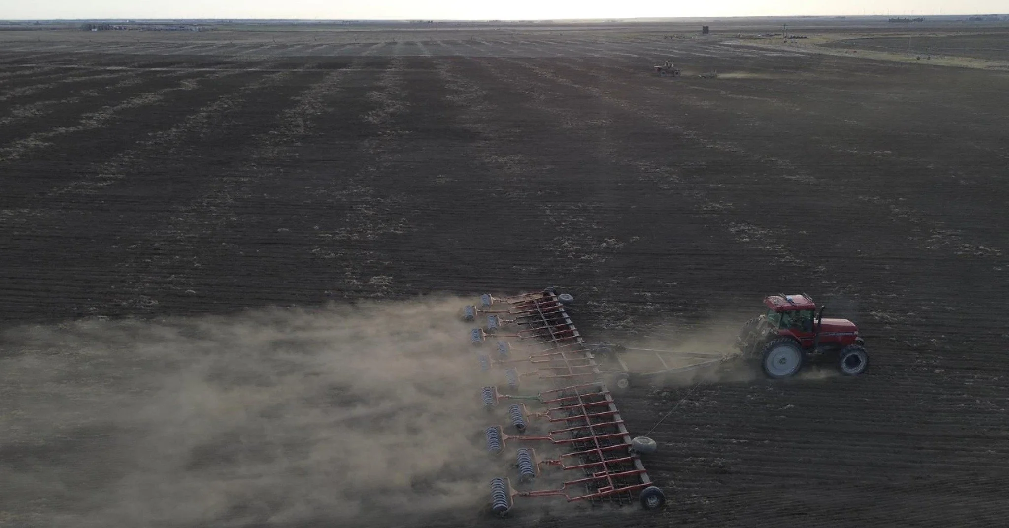 There's something extraordinary about seeing thousands of perfectly planted rows stretching across Southern Alberta. 
Every one of those rows represents careful planning, long days, and an unwavering commitment to quality.
We believe premium onions s