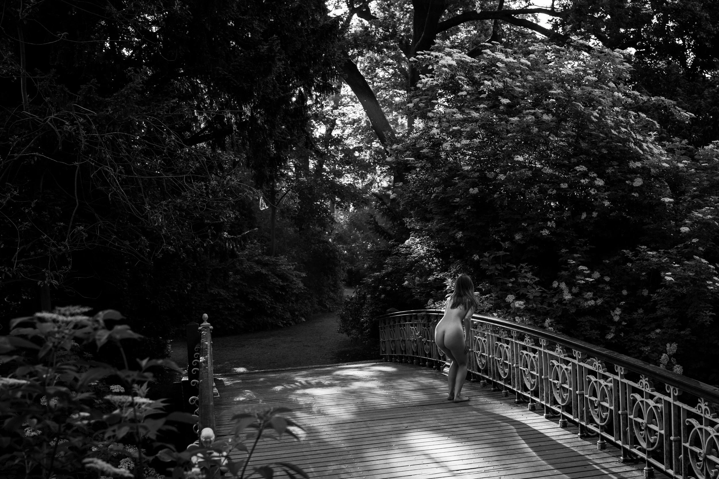 LR-Amber-Vondelpark-2.jpg
