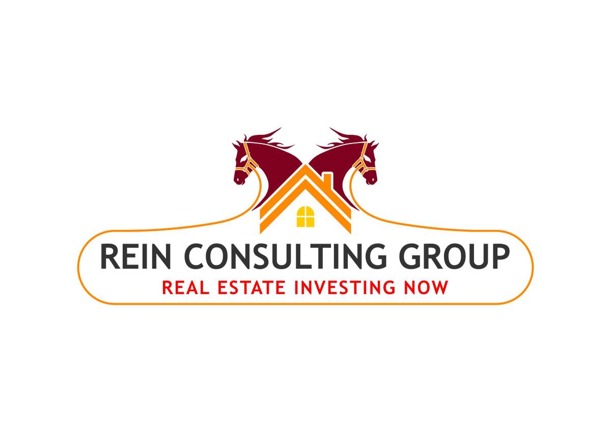 the REIN consulting group llc