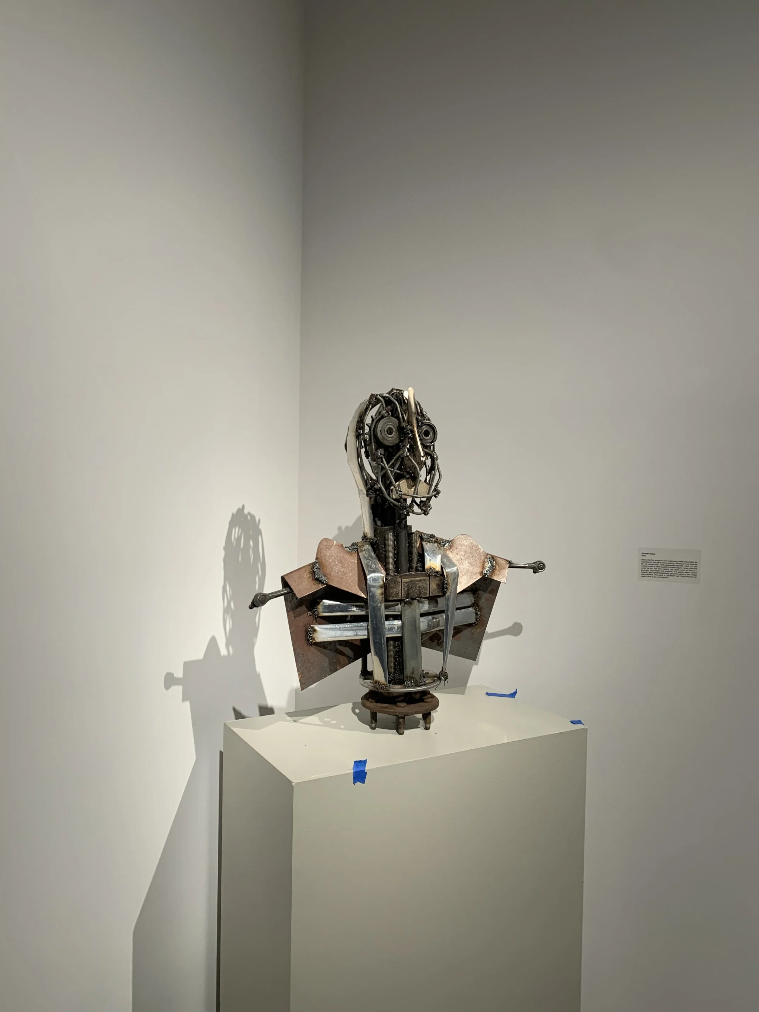 IMG_4701.jpeg