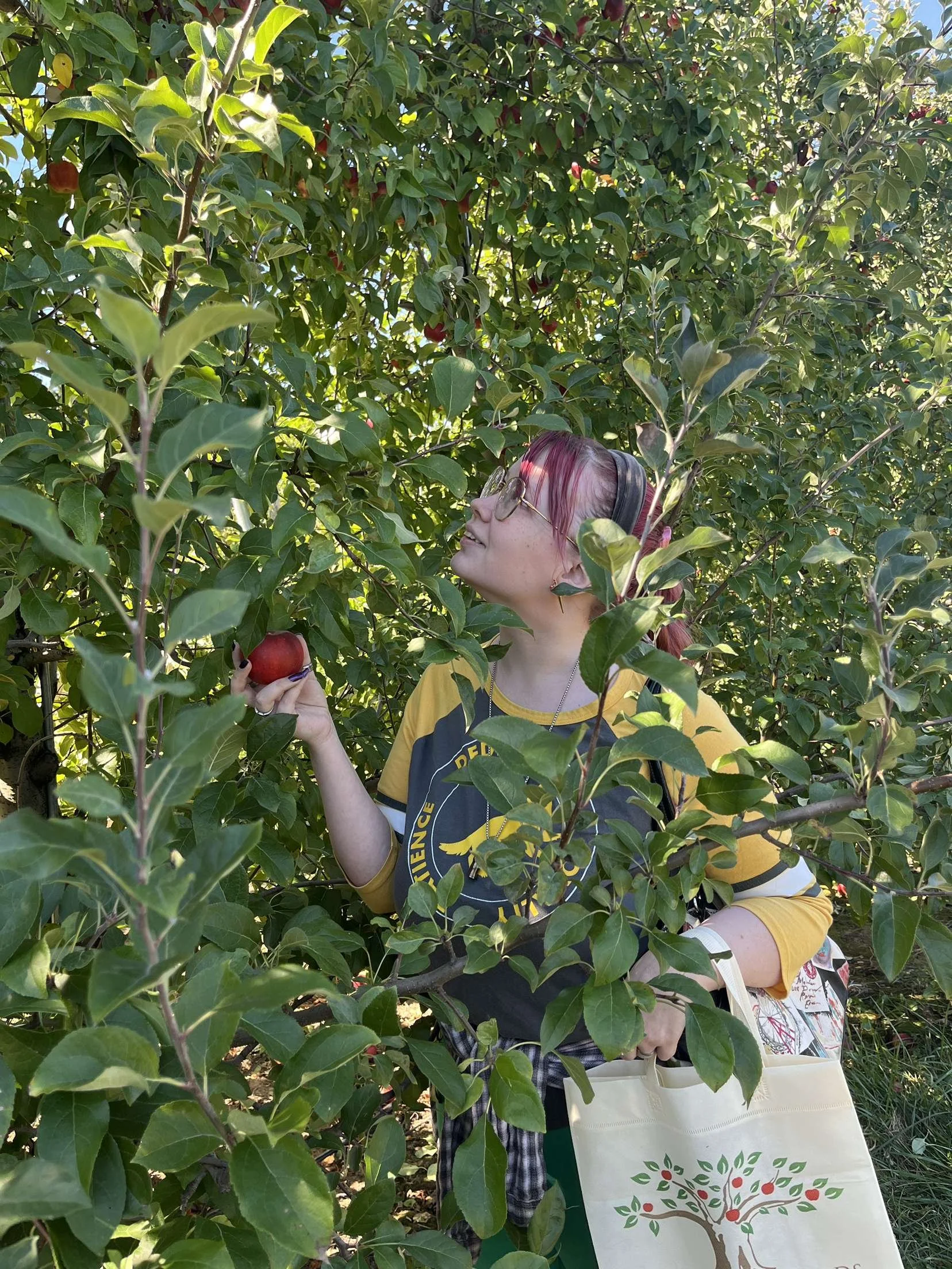 Person with pink hair, glasses, and headphones picking an apple from an apple tree, holding a bag with a tree logo.