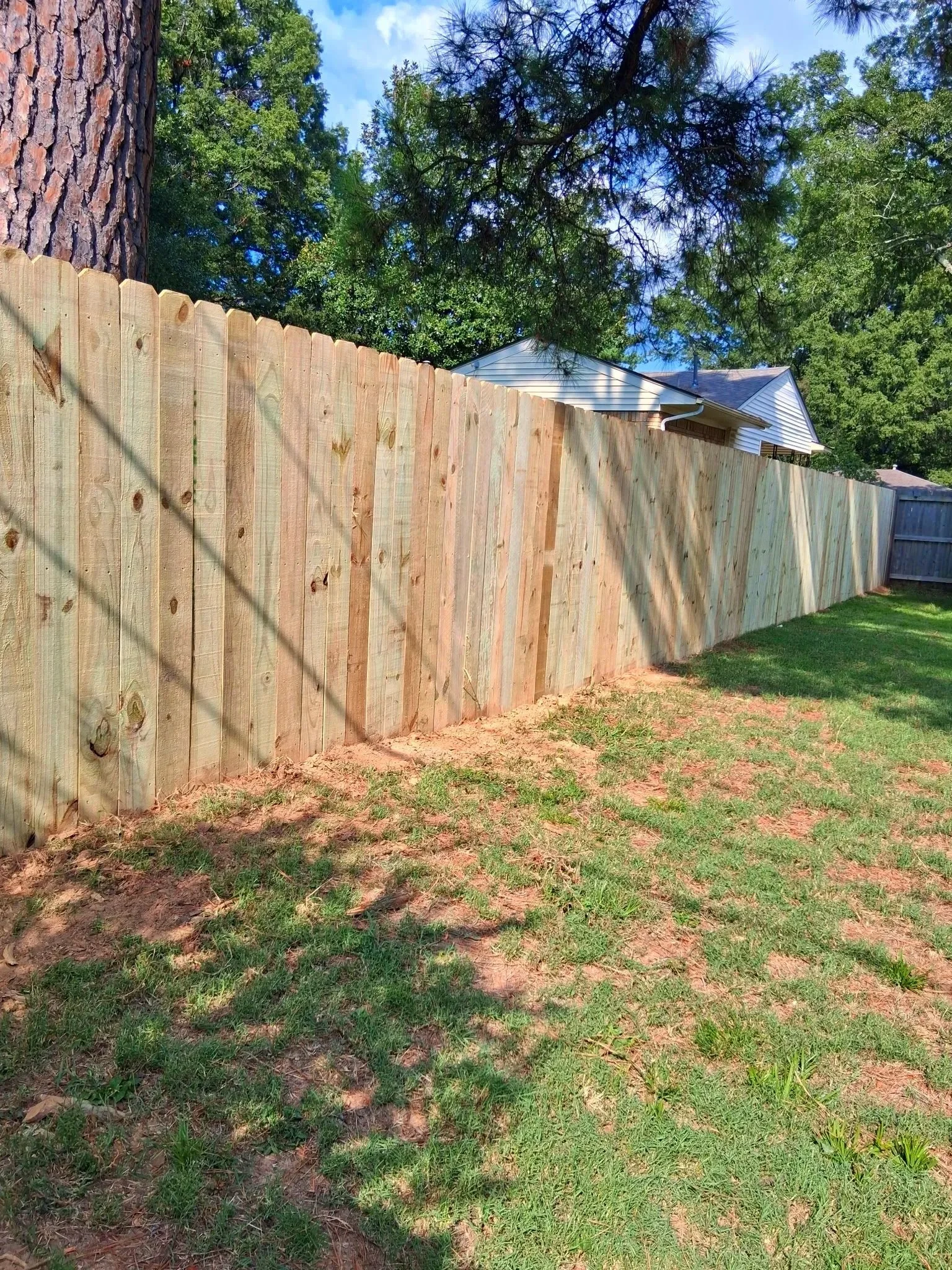 A newly installed wooden fence runs along a grassy backyard with some patches of dirt, with a house and tall trees visible in the background under a blue sky.