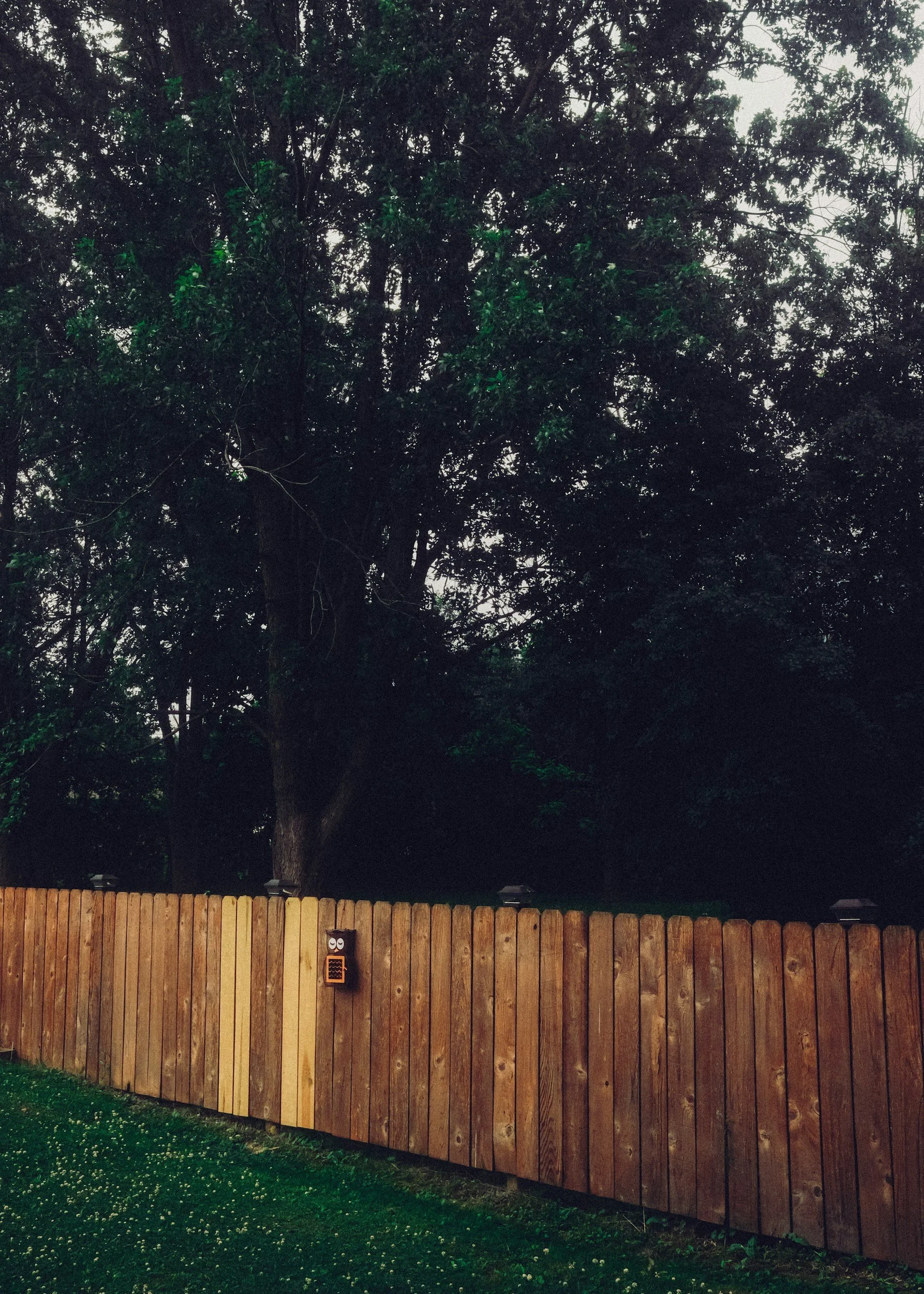 A wooden fence with a row of small black lights on top, set against a backdrop of a large tree with dark green leaves, and a cloudy sky.