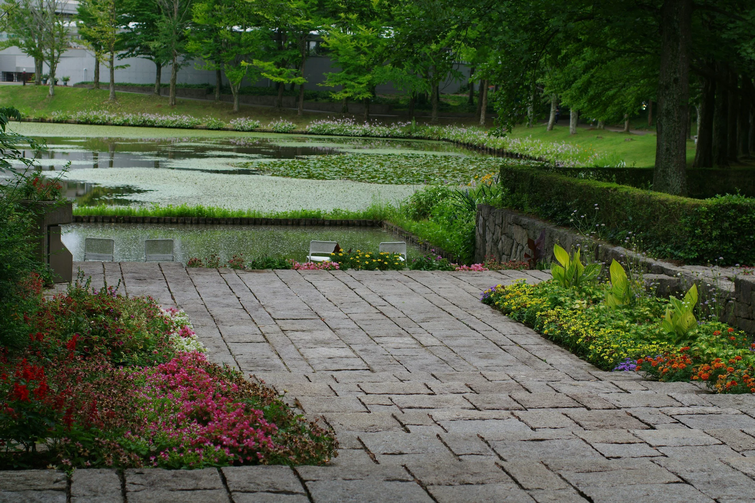 A park with a pond covered in lily pads, surrounded by lush green trees and colorful flowering plants, with paved stone steps leading down to the water.