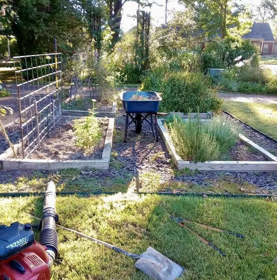 Backyard garden with raised beds, a blue wheelbarrow, a garden hose, and various plants and shrubs.