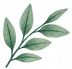 Illustration of a sprig with green leaves