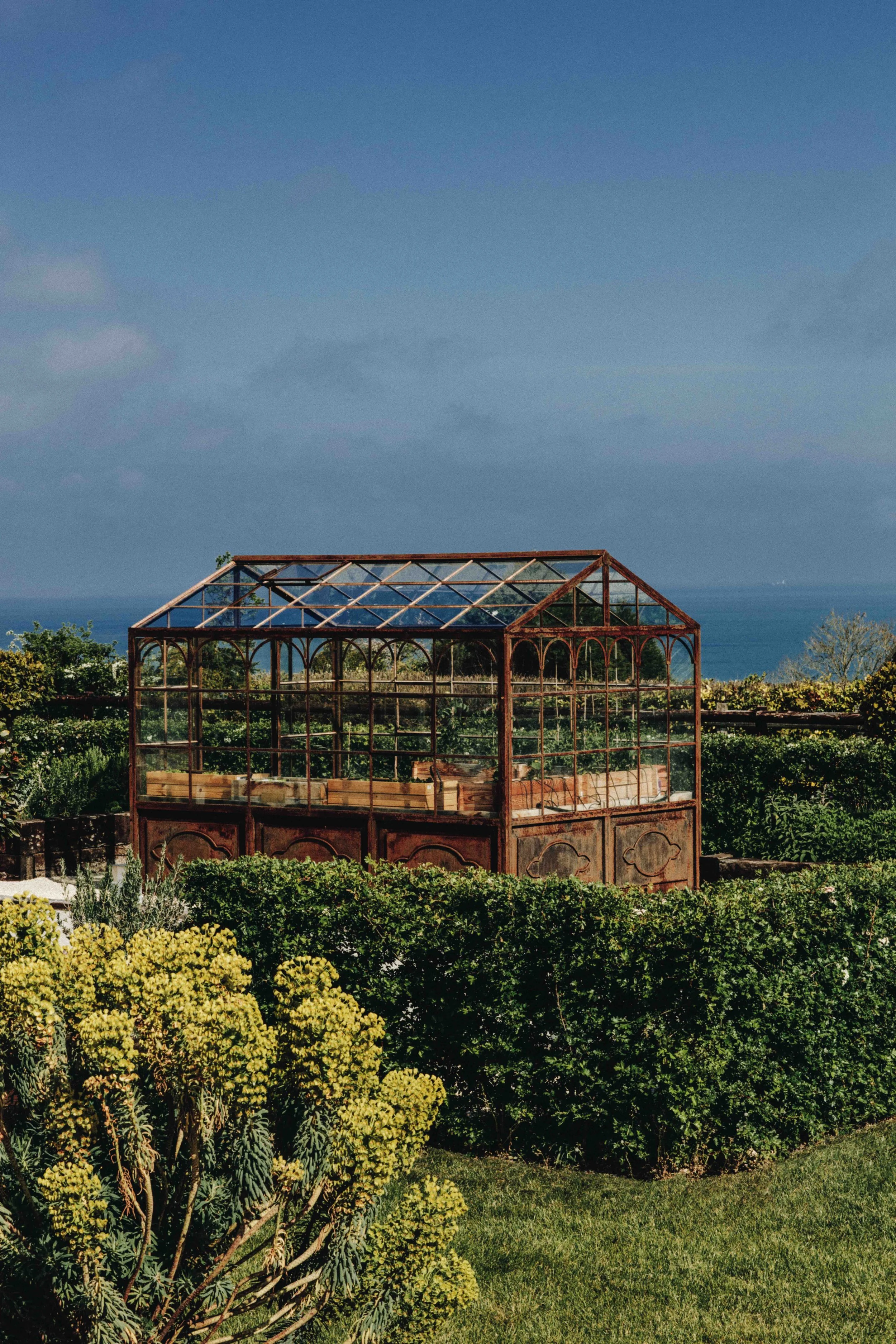 A rusty metal greenhouse in a lush garden with yellow flowers and green bushes, overlooking the ocean under a blue sky.
