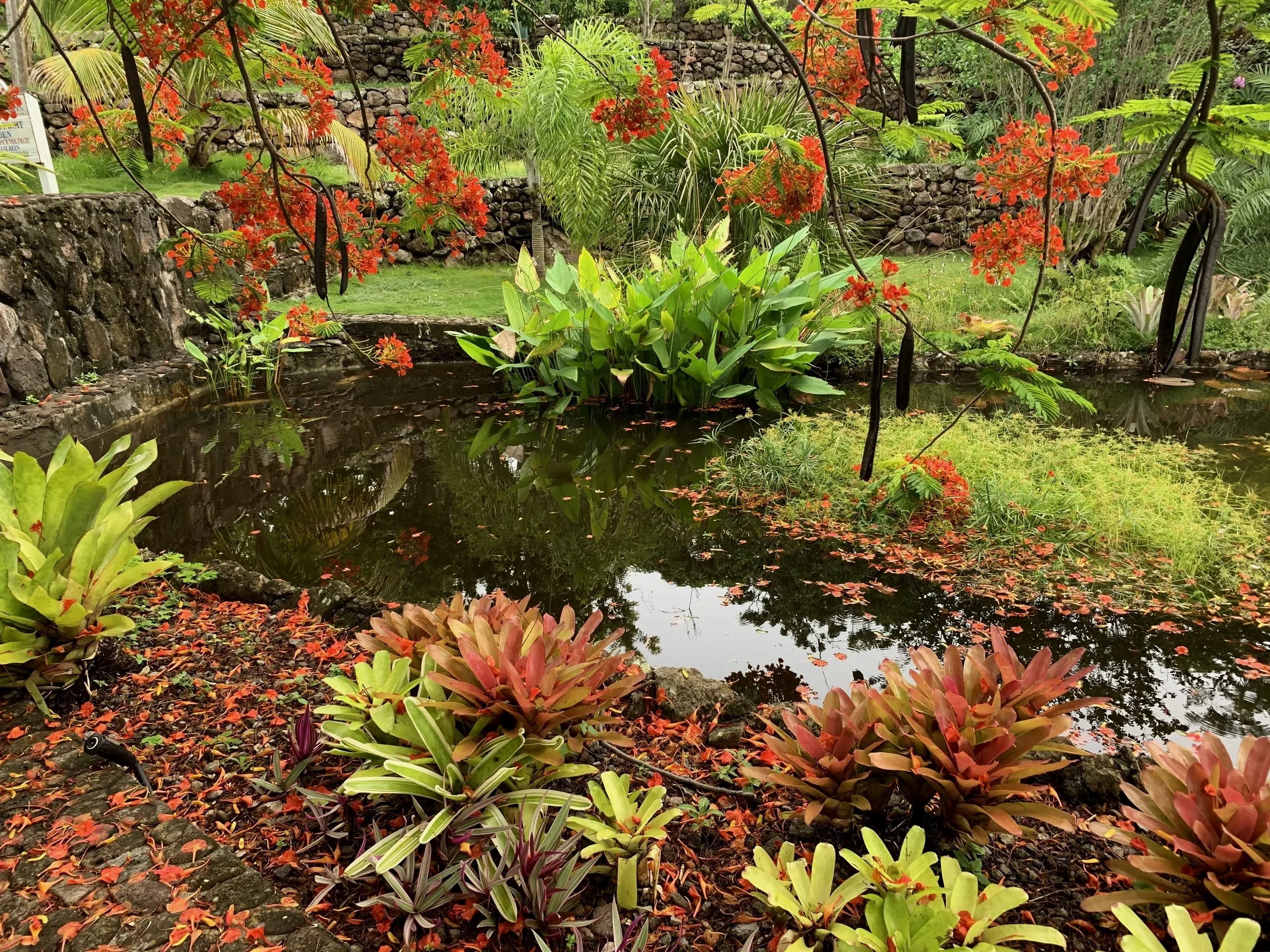 The Grounds of the Botanical Garden of Nevis