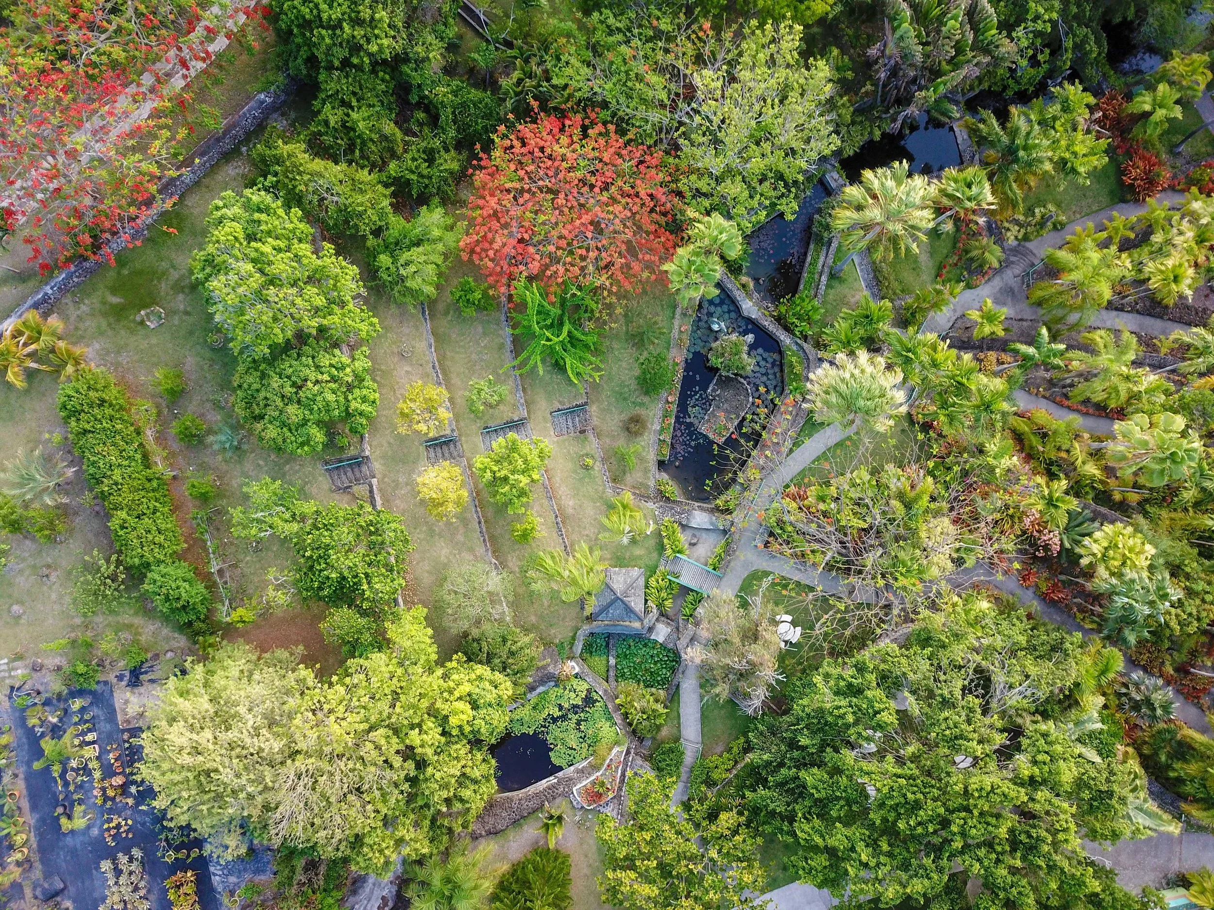 Lily Ponds, Fountains, and Shaded Pathways