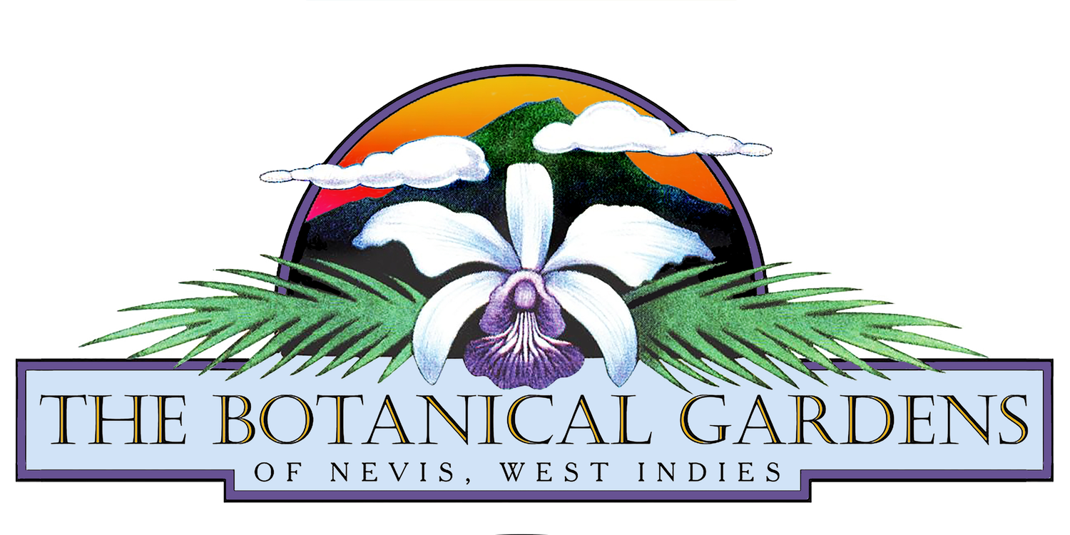 Botanical Garden of Nevis