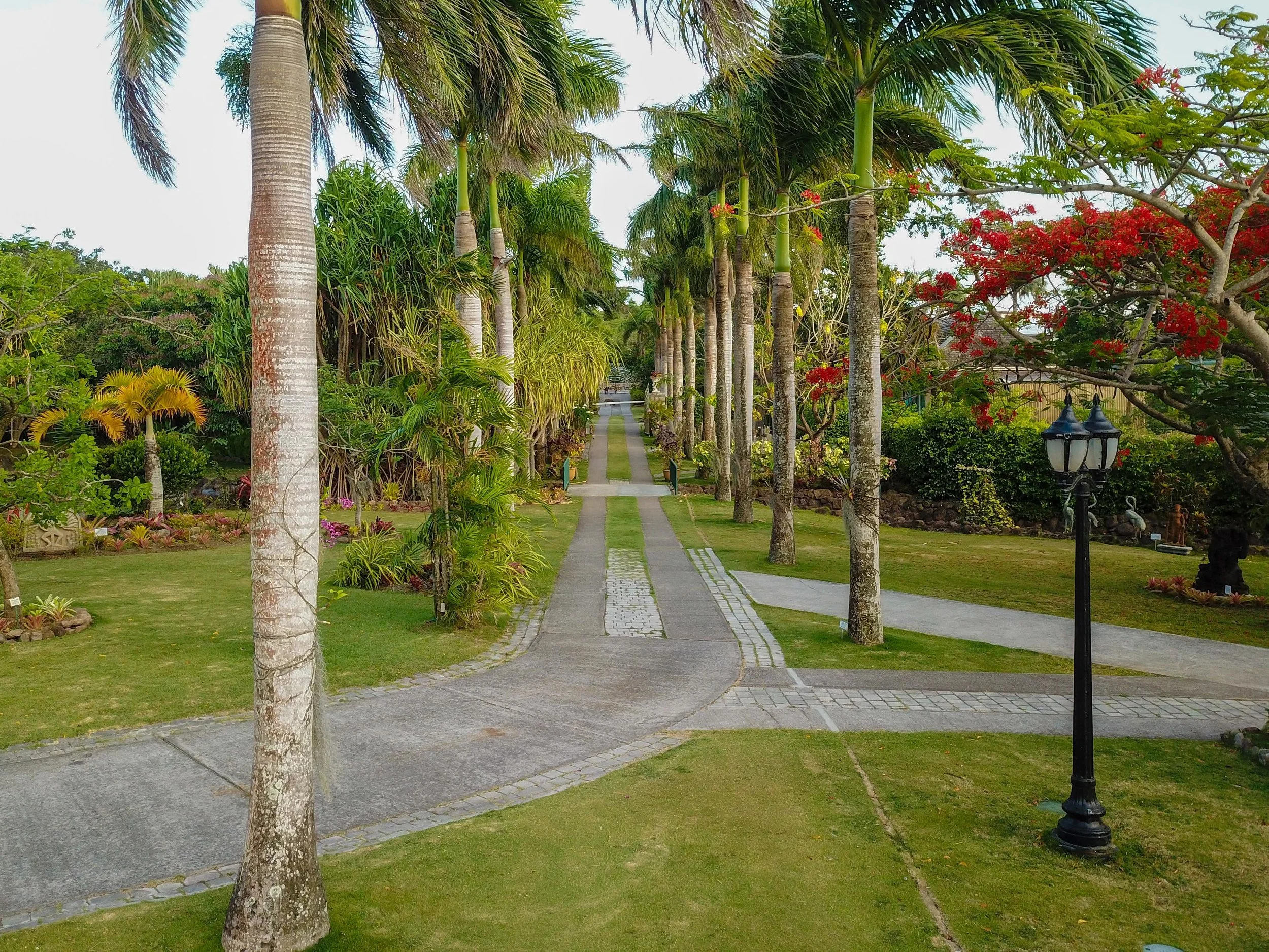 Grand Entrance 