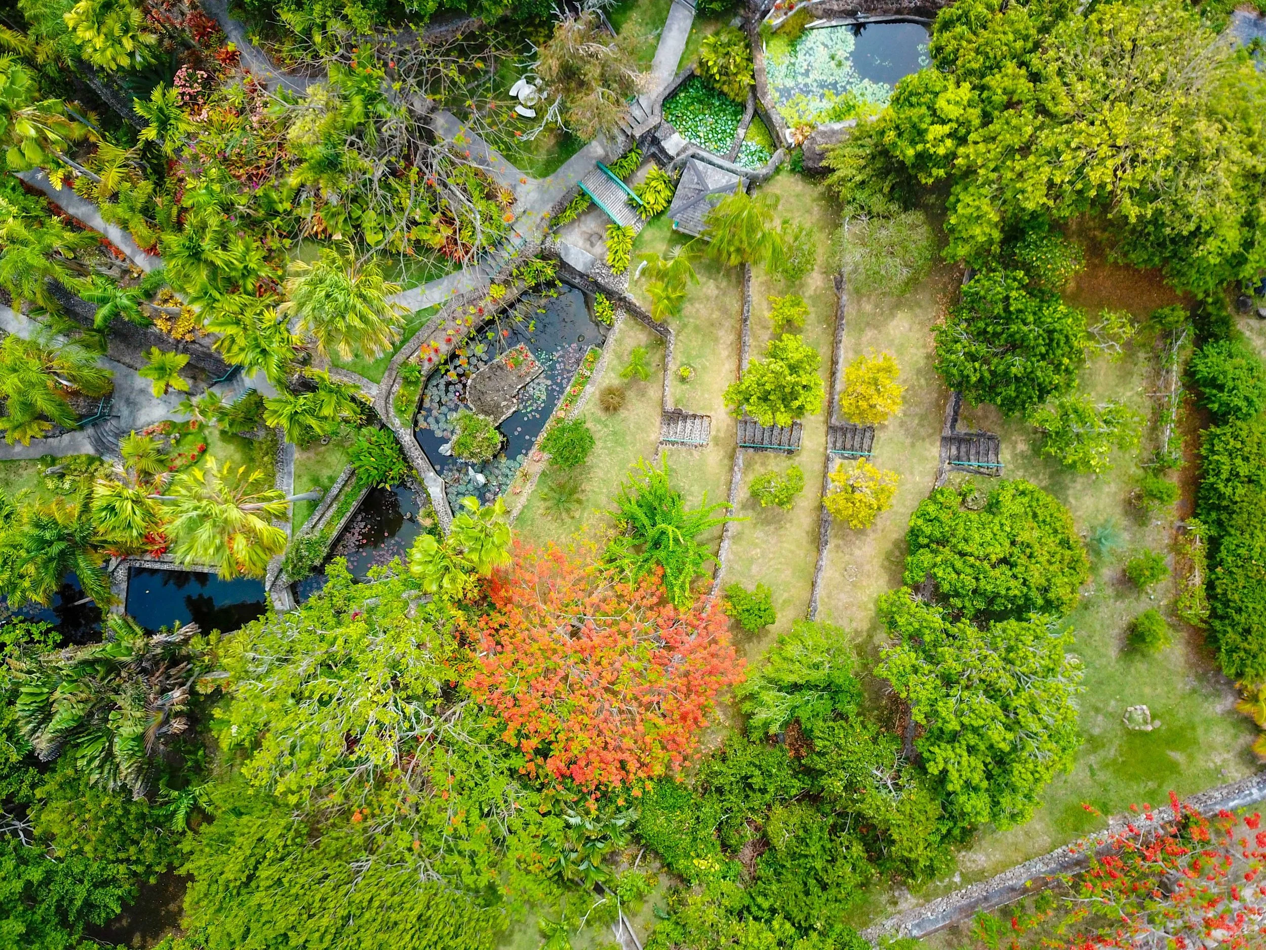 Terraced Gardens