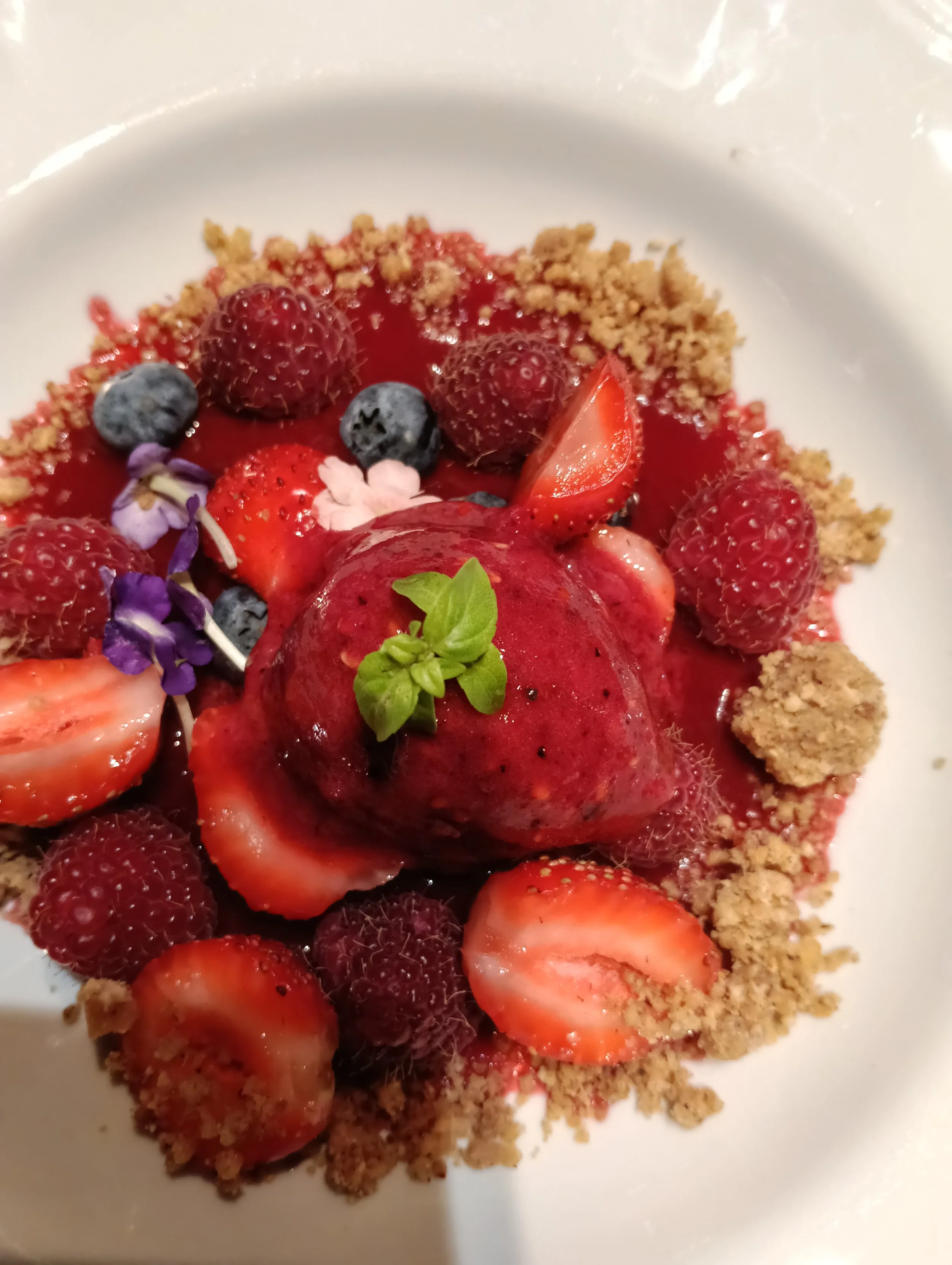 Dessert aux fruits rouges avec biscuits émiettés et herbes vertes décoratives.