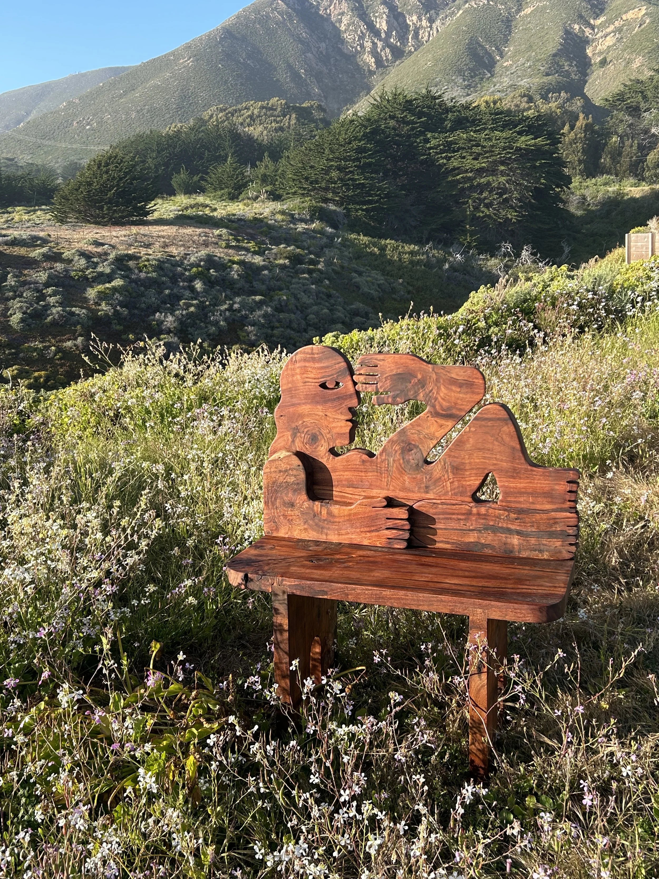 Reclining Woman Bench, Black Acacia(1).jpeg