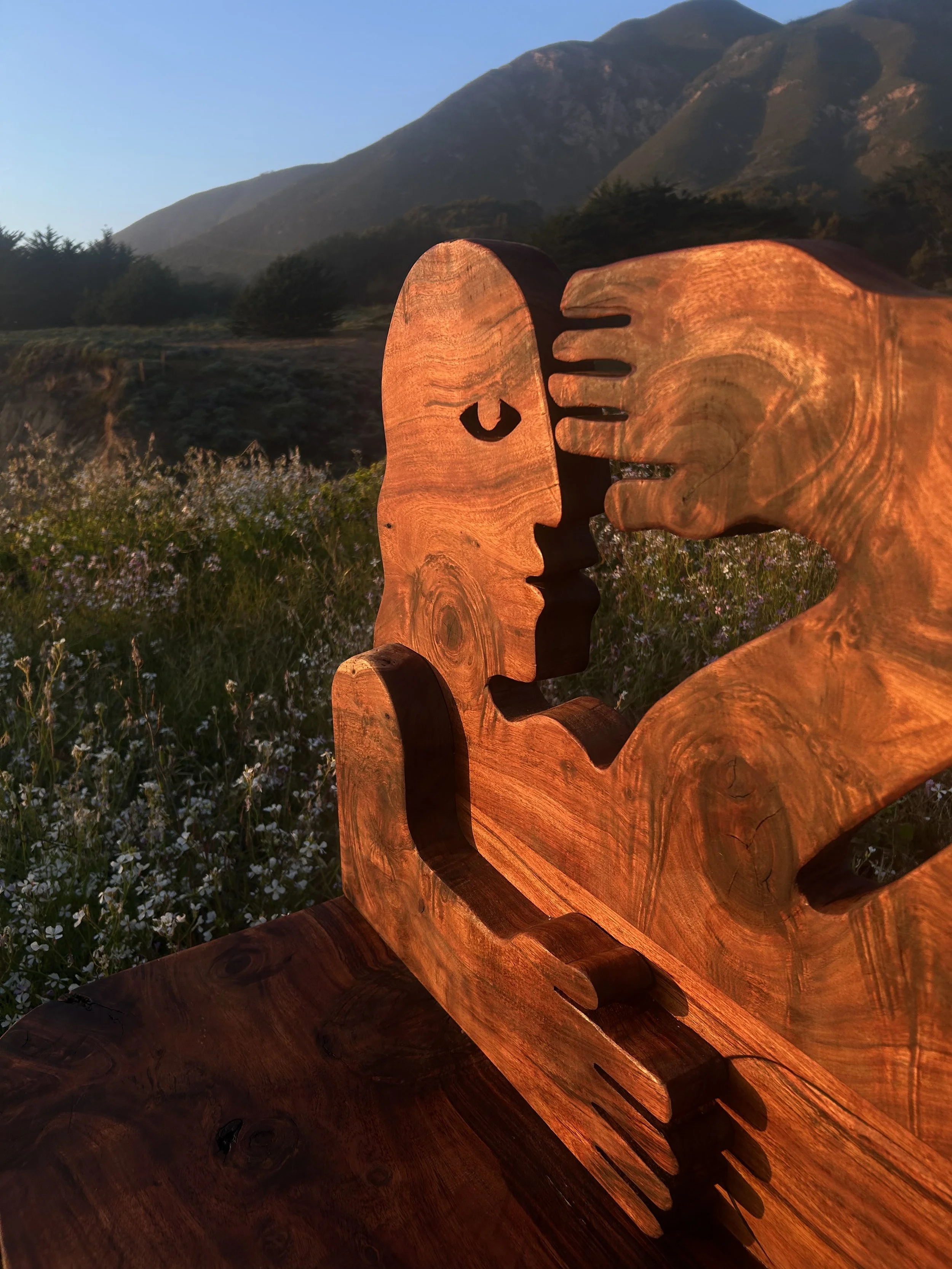 Reclining Woman Bench, Black Acacia(4).jpeg