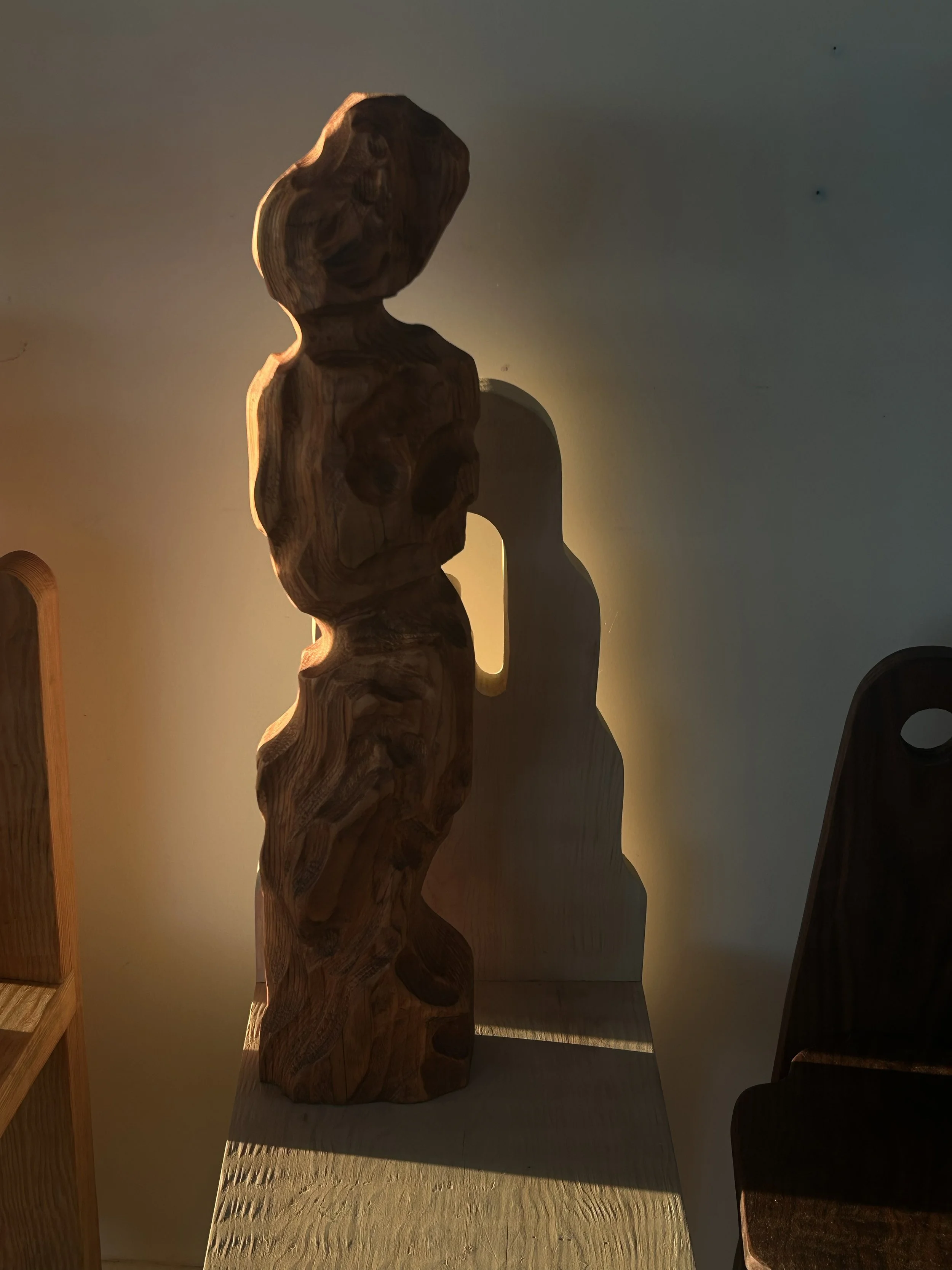 Hylic 6, Doug Fir.jpg