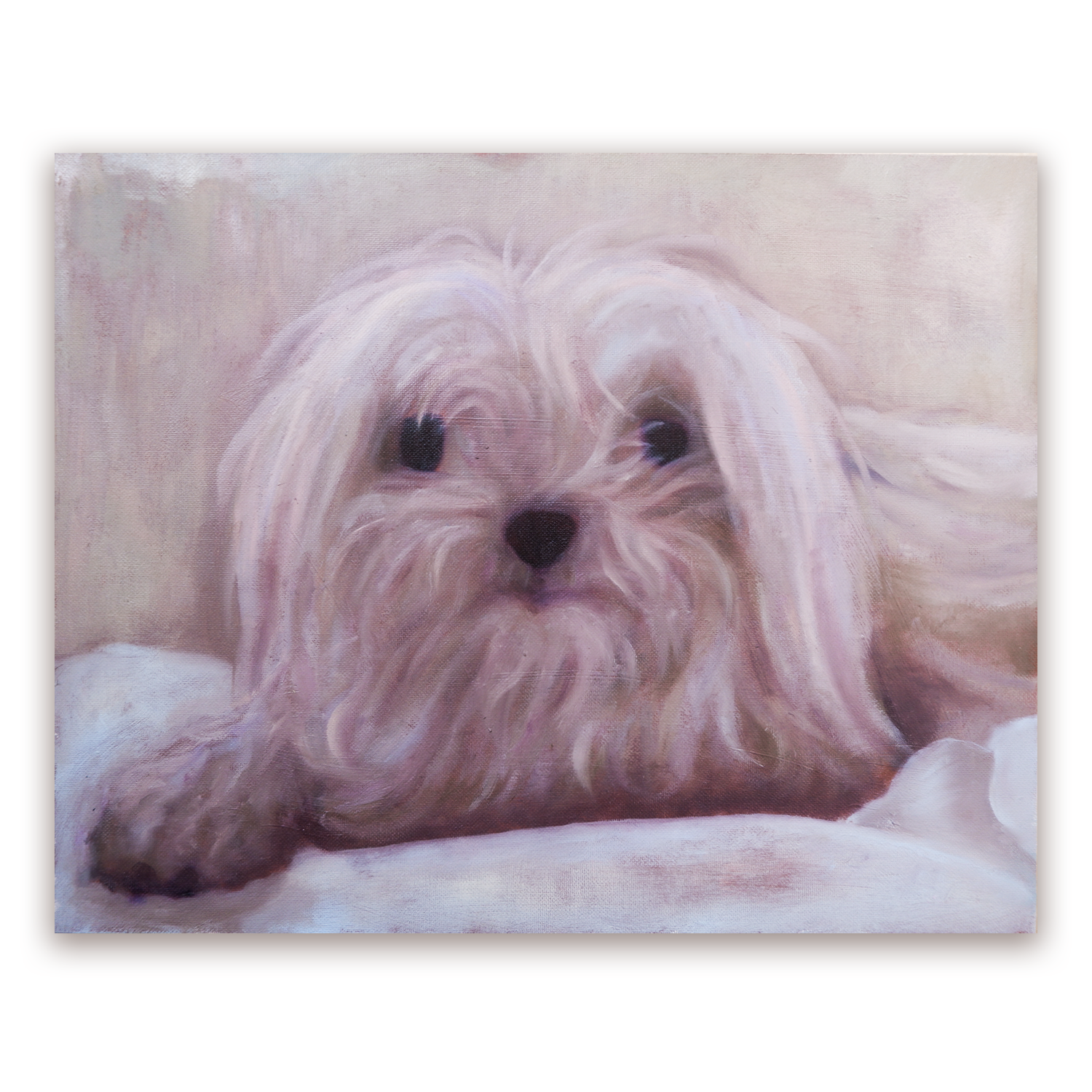 Custom pet portraits