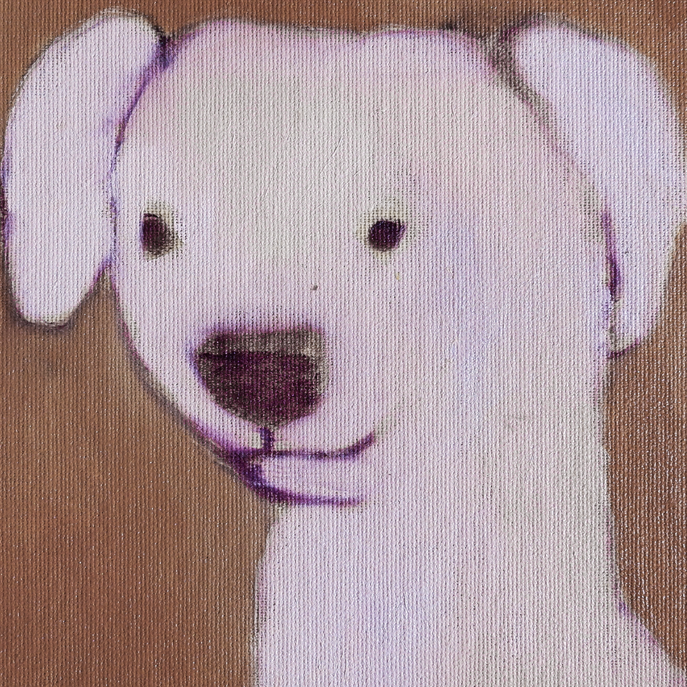Liška Dog